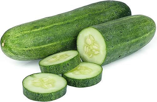 Miniatura 3 de TKE Farms & Gardens - Semillas de pepino, 8 rectas, 55 semillas de pepino sin OMG, ideales para rebanar, ensaladas y encurtidos crujientes, incluye