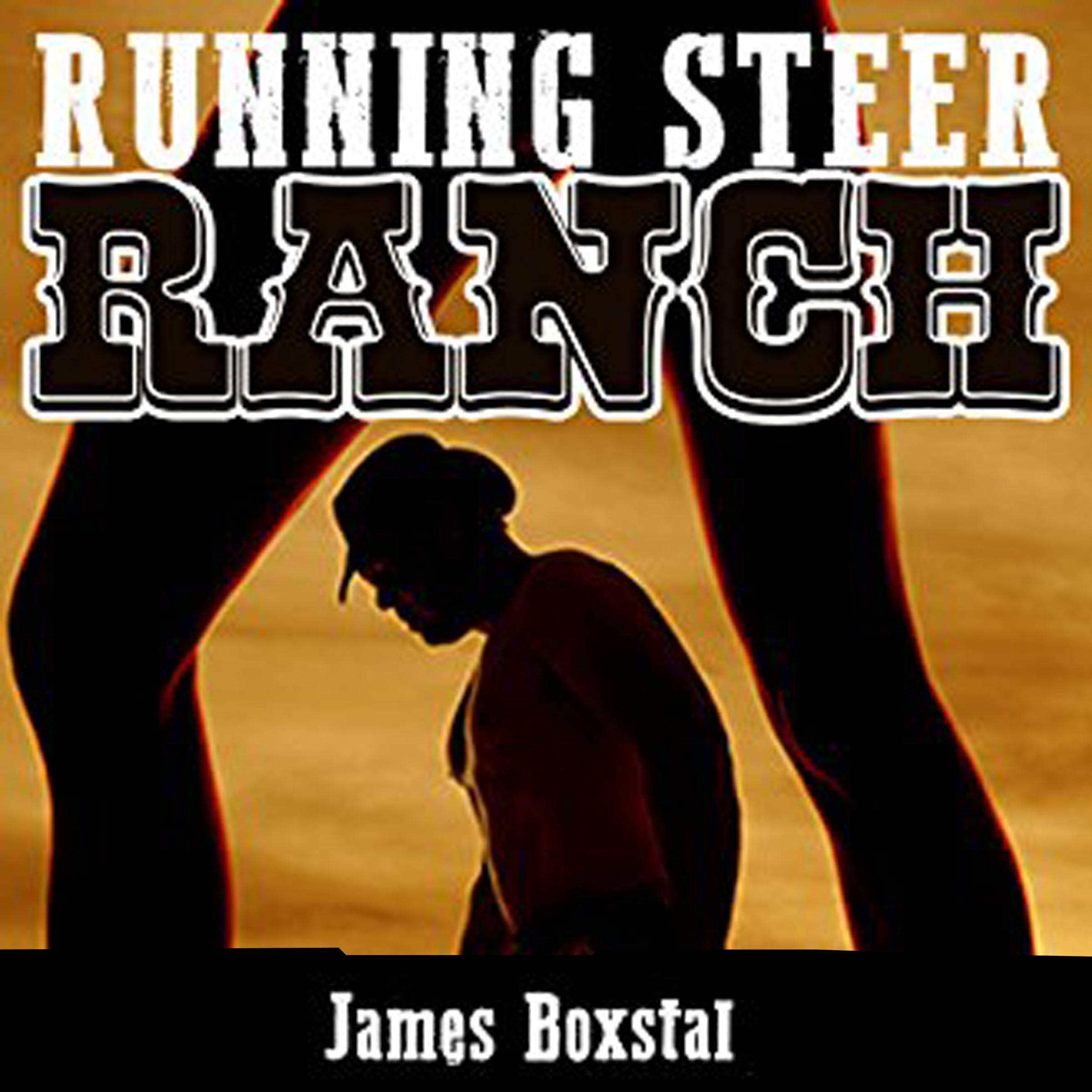 Running Steer Ranch