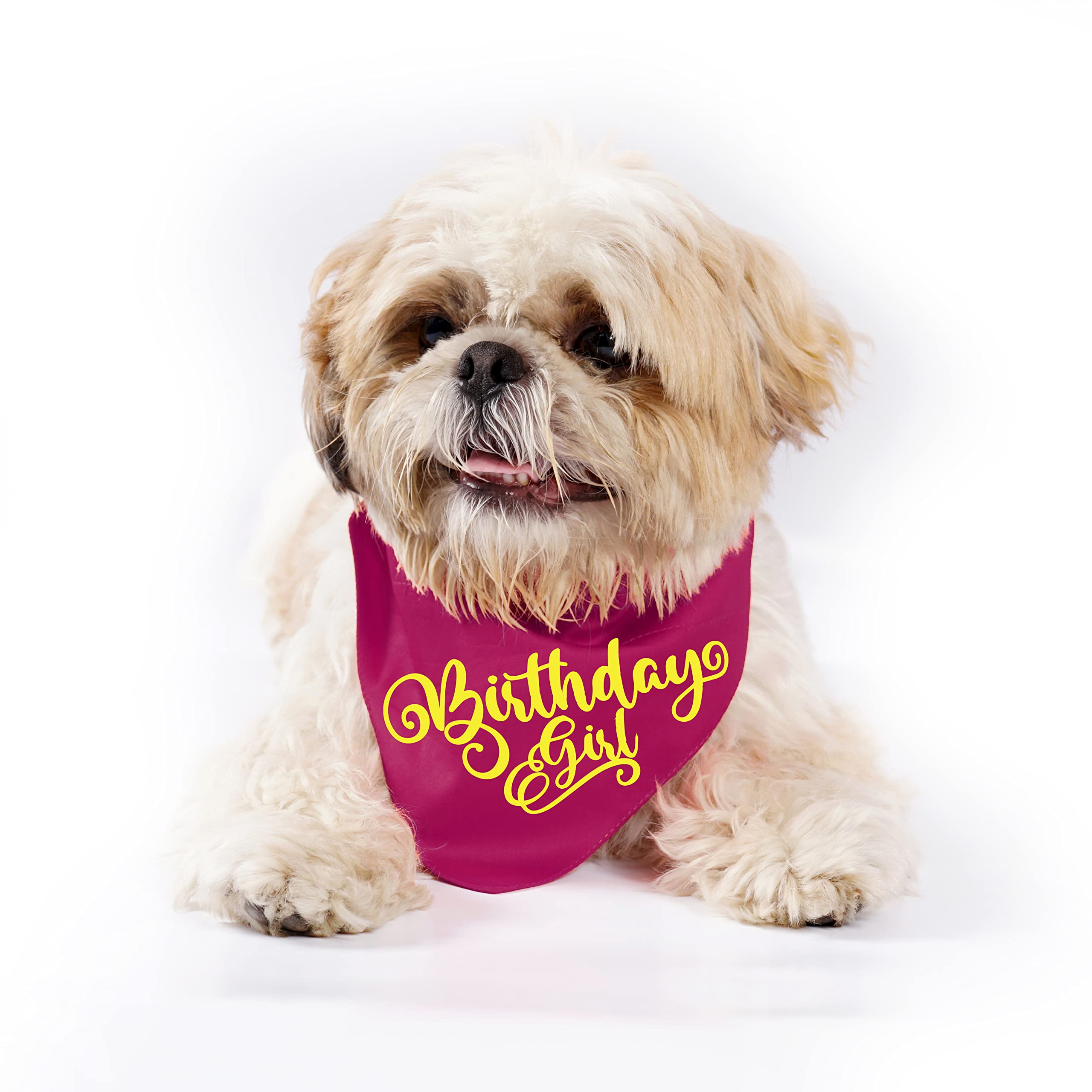 Limit Fashion Store - Birthday Design Printed Dog Bandana/Dog Scarf (Pack of 1) (Dark Pink, Birthday Girl) (B0BJKVKDV6) Amazon Price History, Amazon Price Tracker