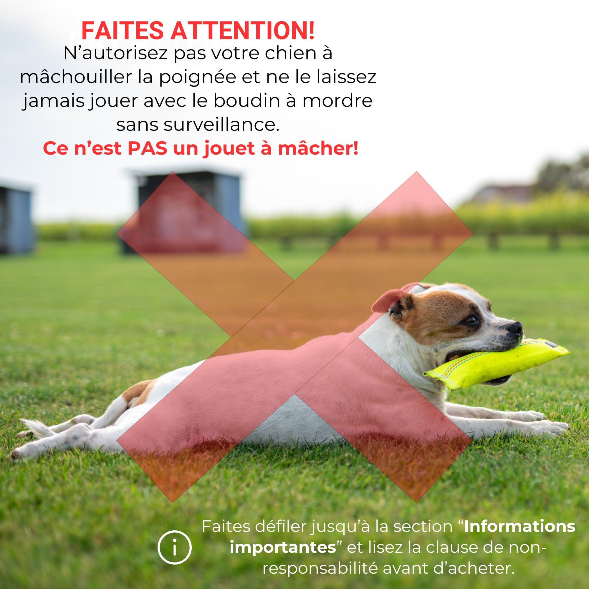 2-in-1 Dummy Flottant et Boudin À Mordre Jouet pour Chien - 25 cm, en Tuyaux De Lance À Incendie - Robuste Boudin Mordant Chien - Apportable Flottant Résistant,Rouleau d'apprentissage – Made in EU