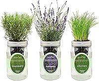 Vista 20 de Kit de cultivo de hierbas hidropónicas, kit de inicio de jardín de hierbas con riego automático en tarro de masón para interiores, jardín de hierbas