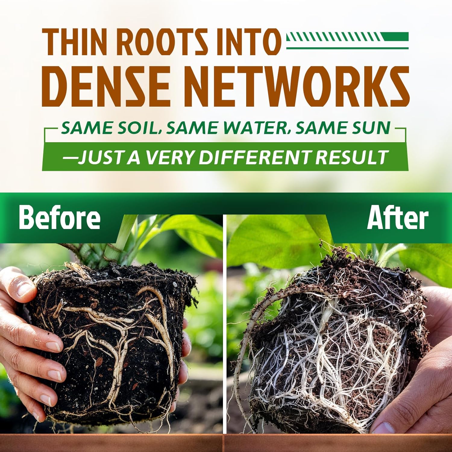 Dr. Raifya's Mycorrhizal Fungi Inoculant, 10X Concentrated, Up to 700 Plants–Organic Root Stimulator to Strengthen Roots, Enhance Growth & Increase Yield, Safe for Vegetables, Flowers & Fruits, 2.2lb