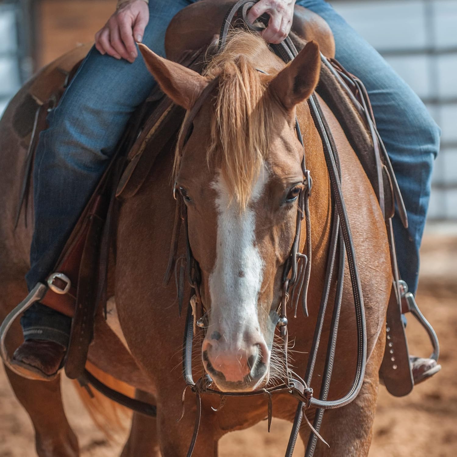 Martin Saddlery Reins Doubled Stitched Split Broke in Feel SR58LATDS
