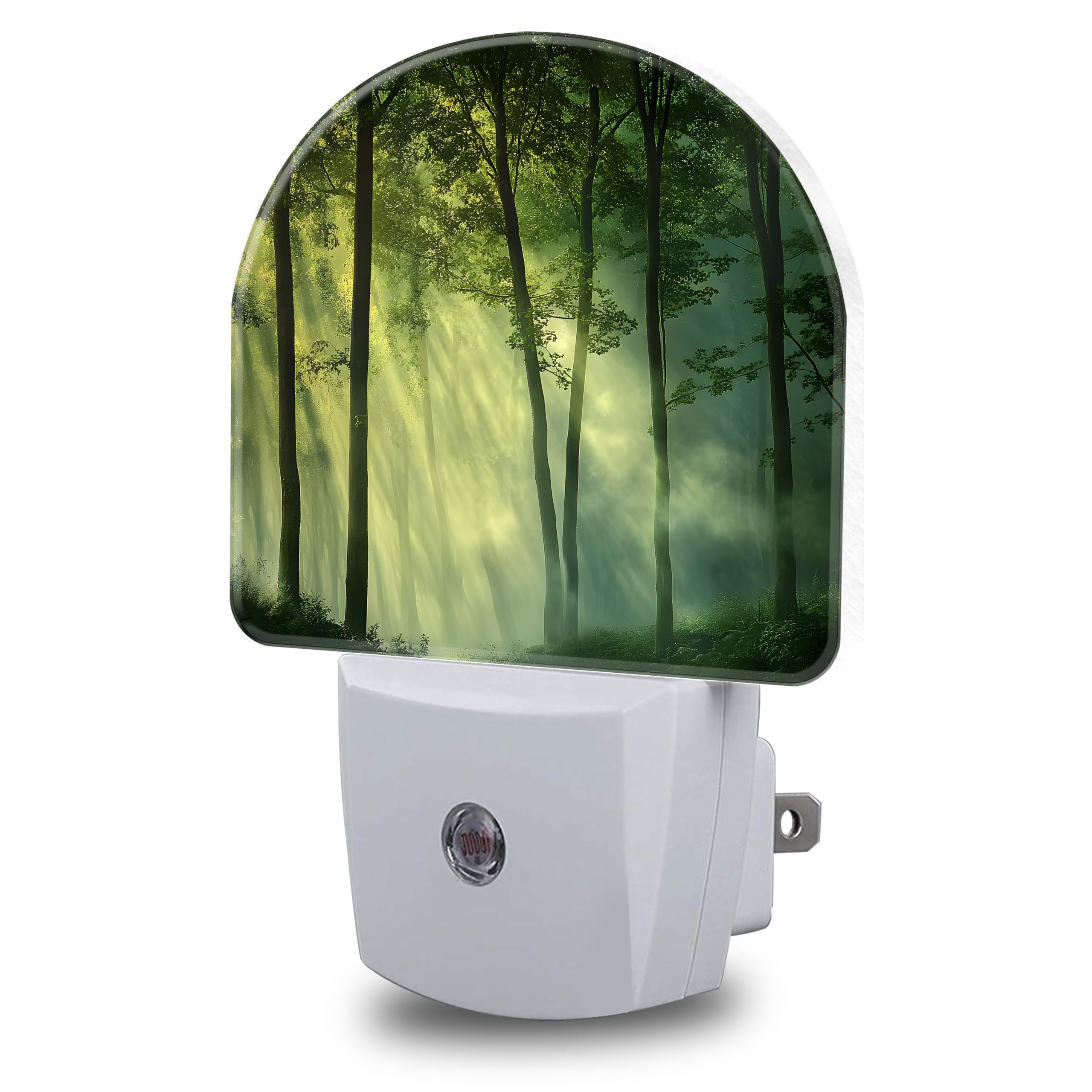 Night Lights Plug into Wall Misty Forest Night Light Dusk to Dawn Smart Sensor Decorative Round Led Lamp for Bedroom Bathroom Kitchen Hallway Nightlight for Women Men