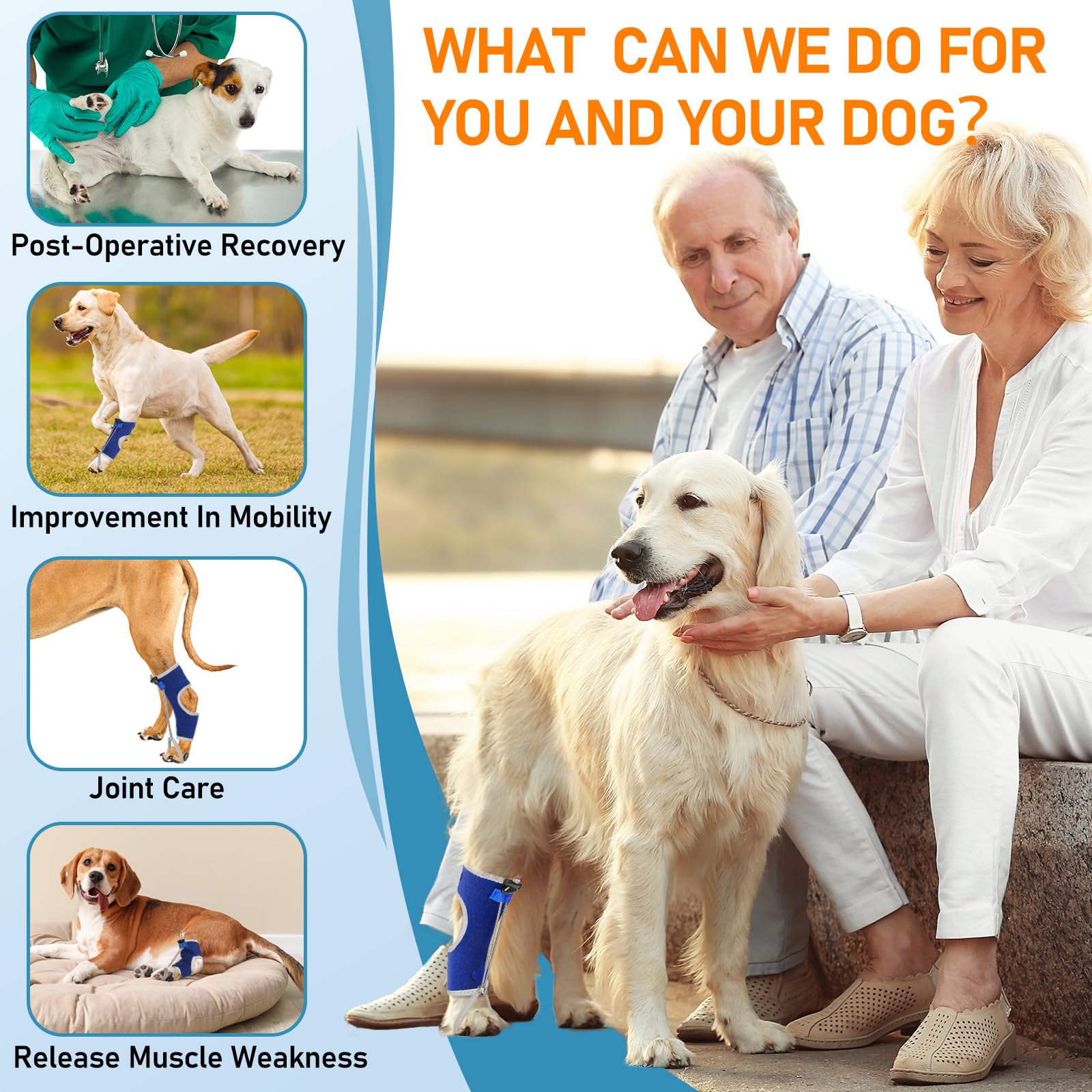 Supet Tutore per nocche per cani, comoda stecca per piede, tutore per caviglia posteriore e gamba per trascinamento delle dita dei piedi, causa mielopatia, insufficienza del nervo sciatico ed ernia