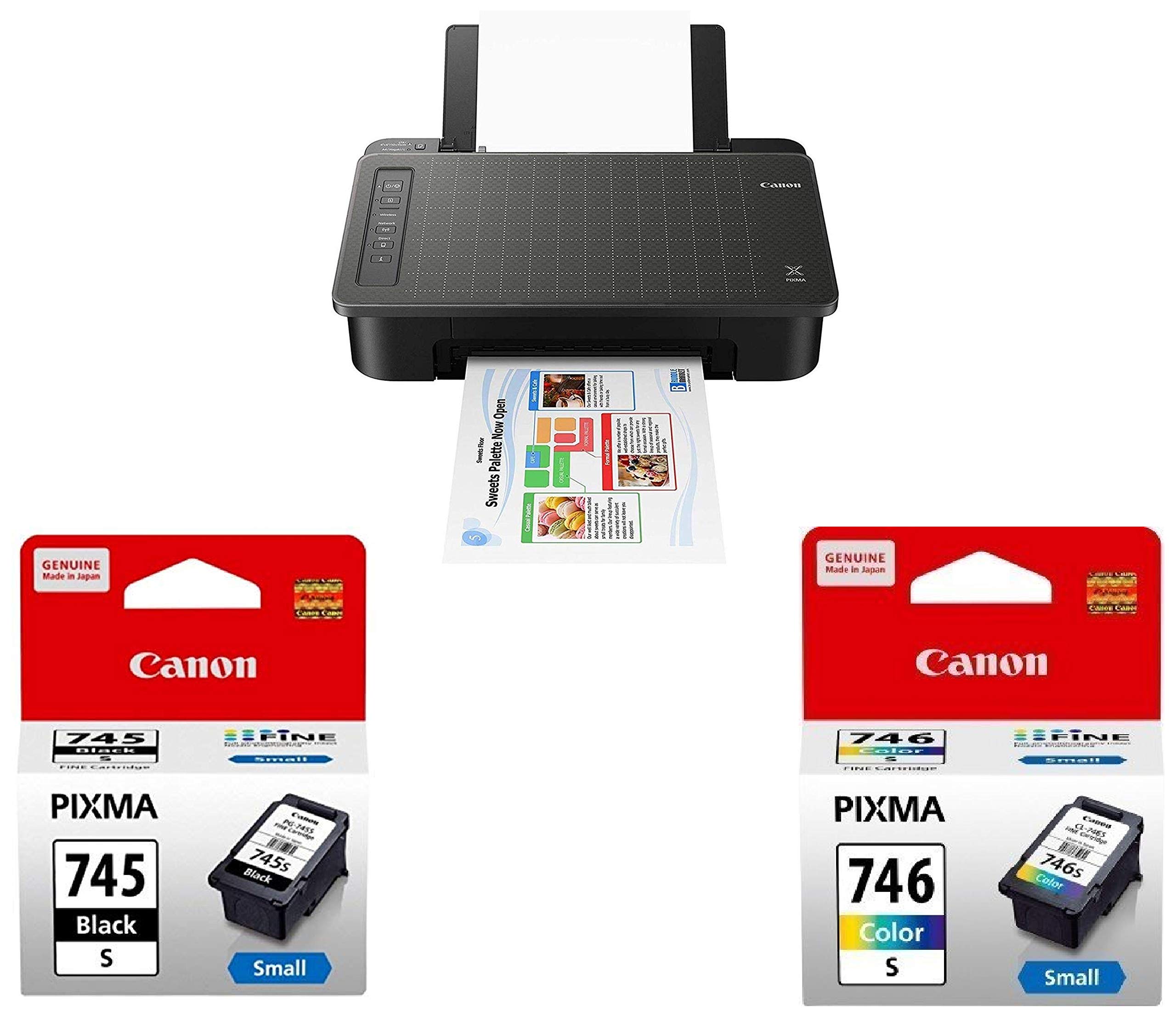 Canon TS307 Single Function Inkjet Colour Printer with PG745S & CL746S Ink Cartridge