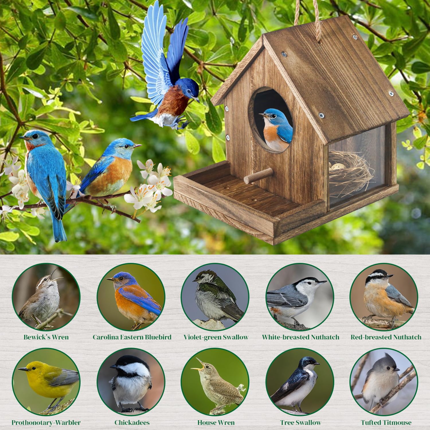 DIY Holz Kolibri Haus Kit zum Aufhängen im Freien Ideales Bluebird Kolibri Haus für draußen mit transparentem Sichtfenster Eingebauter Vogelfutterspender Geschenk für Vogelliebhaber Tolle