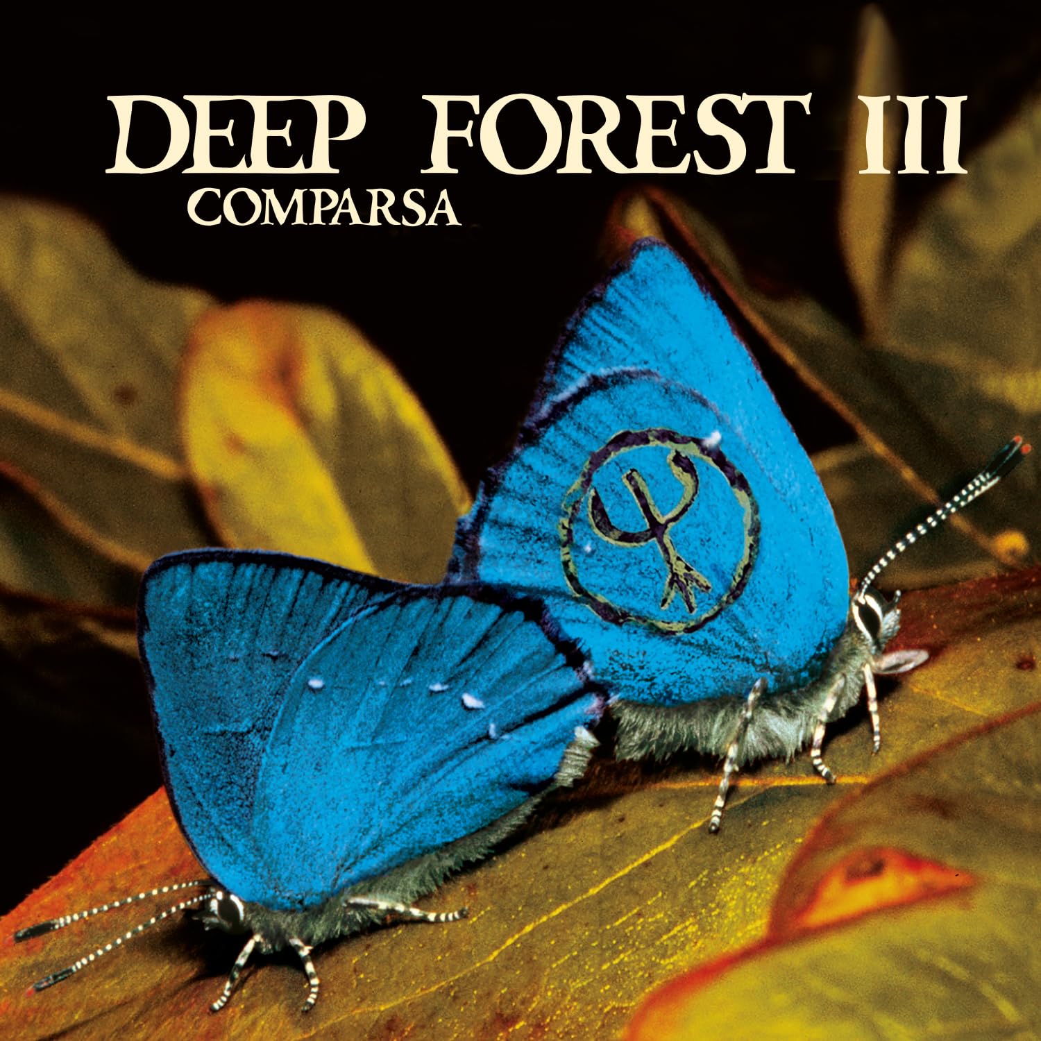 Comparsa Coloured