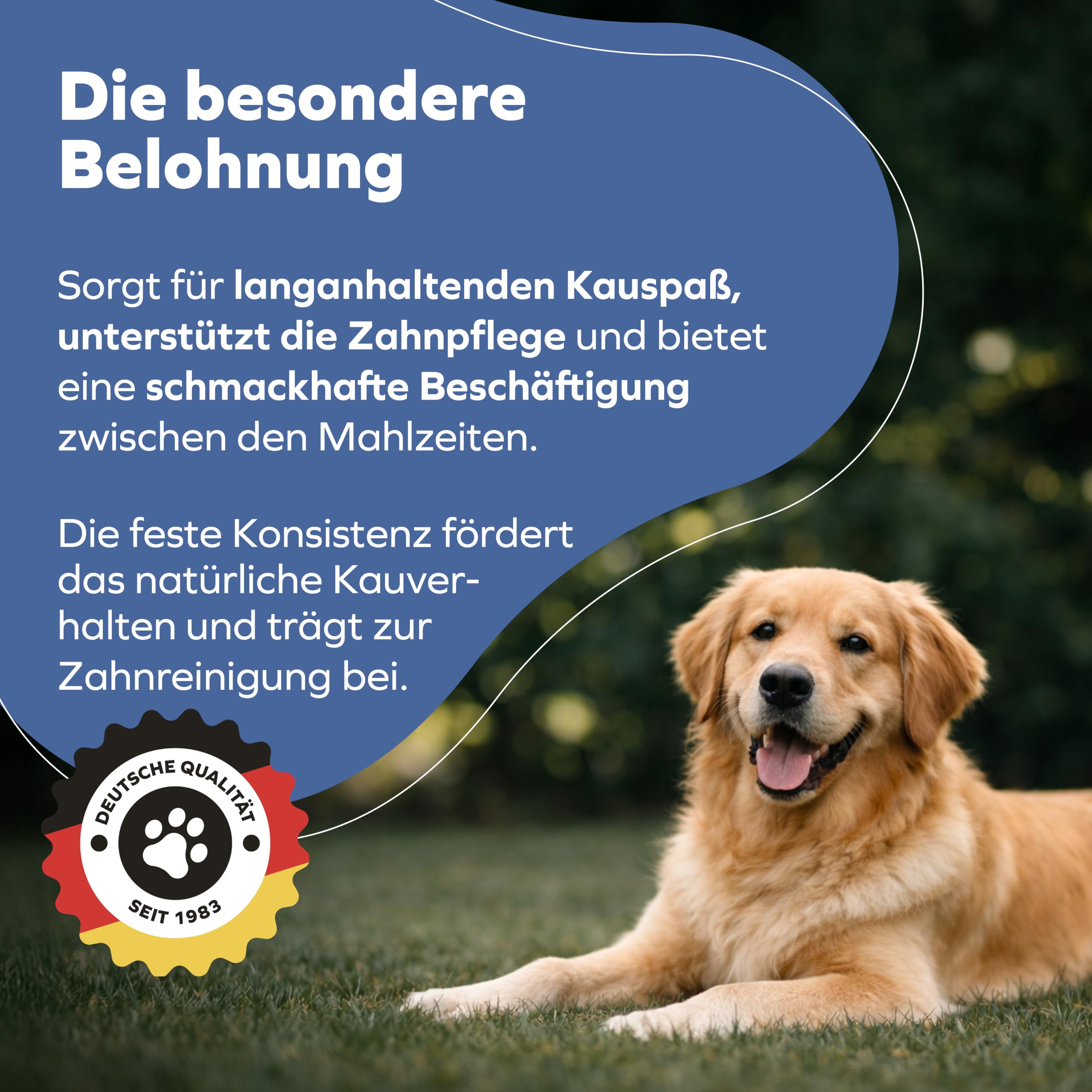 Ochsenziemer für Hunde – 12cm große Kauartikel - 20 Stck. für langanhaltenden Kauspaß