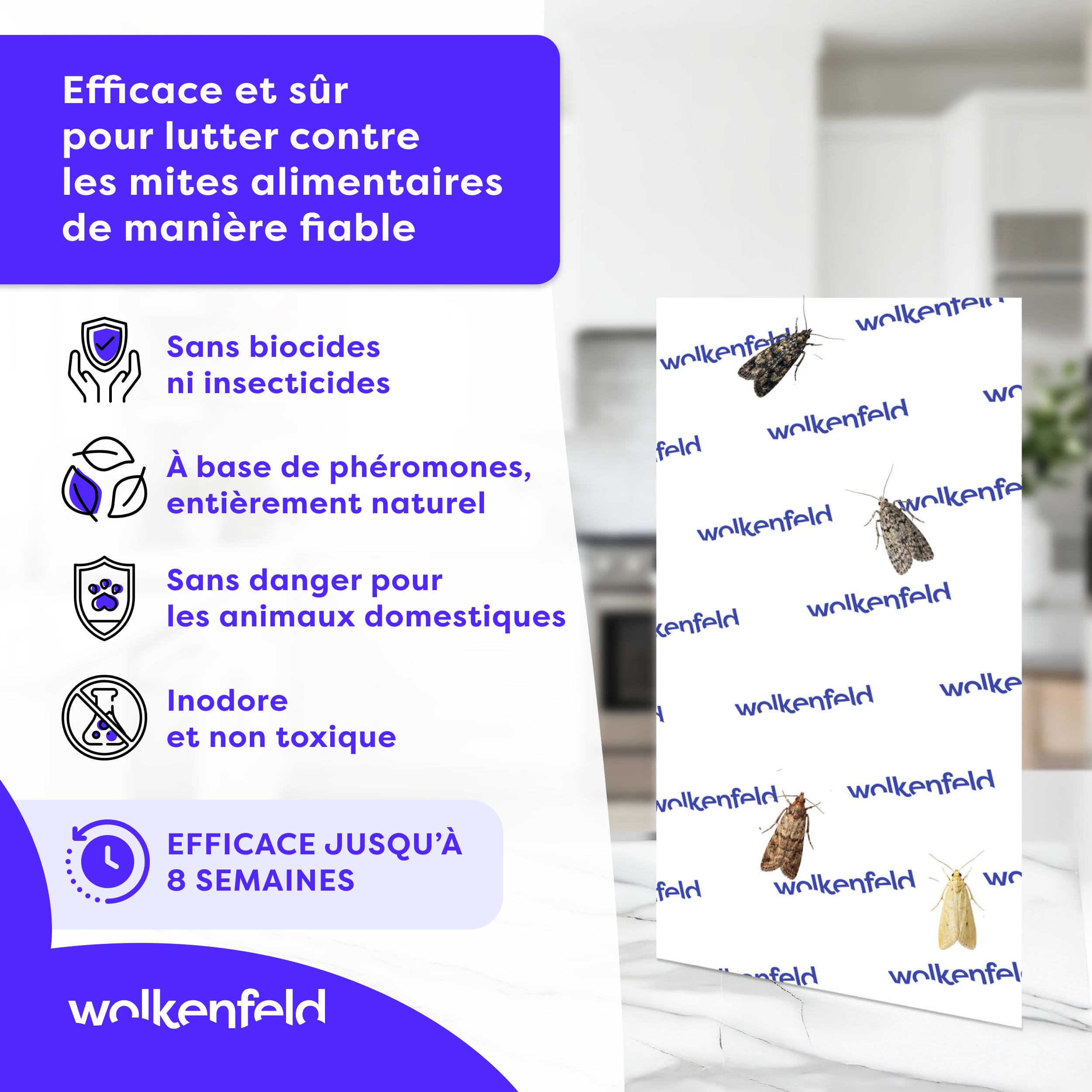 Wolkenfeld Piège à Mites Alimentaires x10 – Anti Mites Alimentaires Phéromone – 10 Pièges – Made in Germany