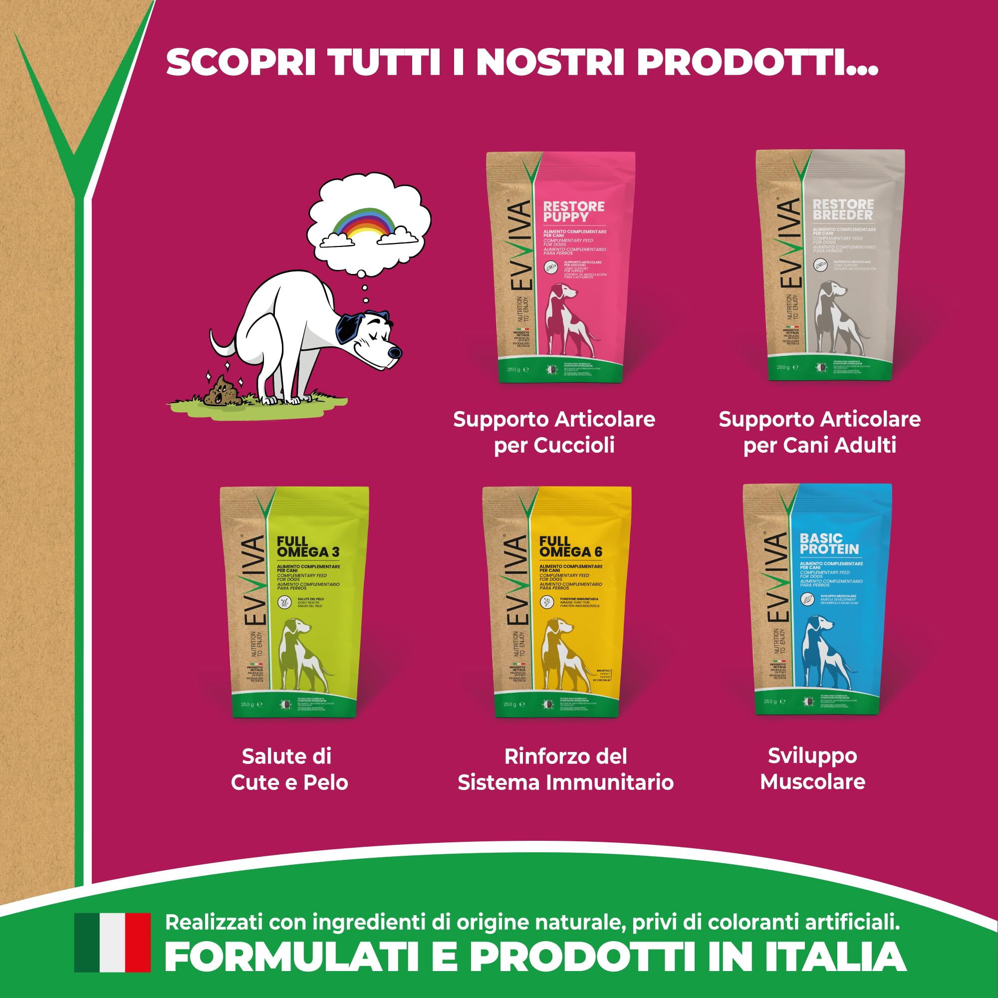 EVVIVA Entero Appetite | Probiotici per Cani a base di Sodio Butirrato per l’Equilibrio della Flora Batterica e il Benessere Intestinale, Integratore per cani efficace soluzione per la Diarrea Cane