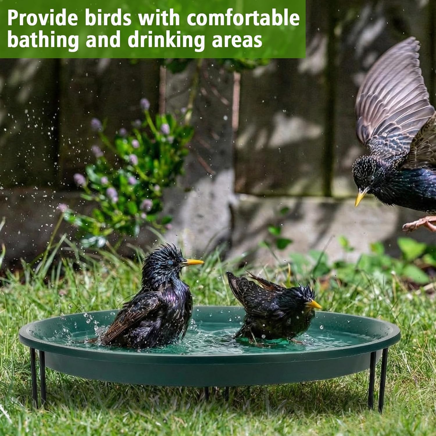 14.37“ Ground Level Bird Bath for Outside Floor Standing Large Bird Bath for Patio Garden or Deck Black Steel Wire Stand with Dish Outdoor Feeder Water Bowl (Green)