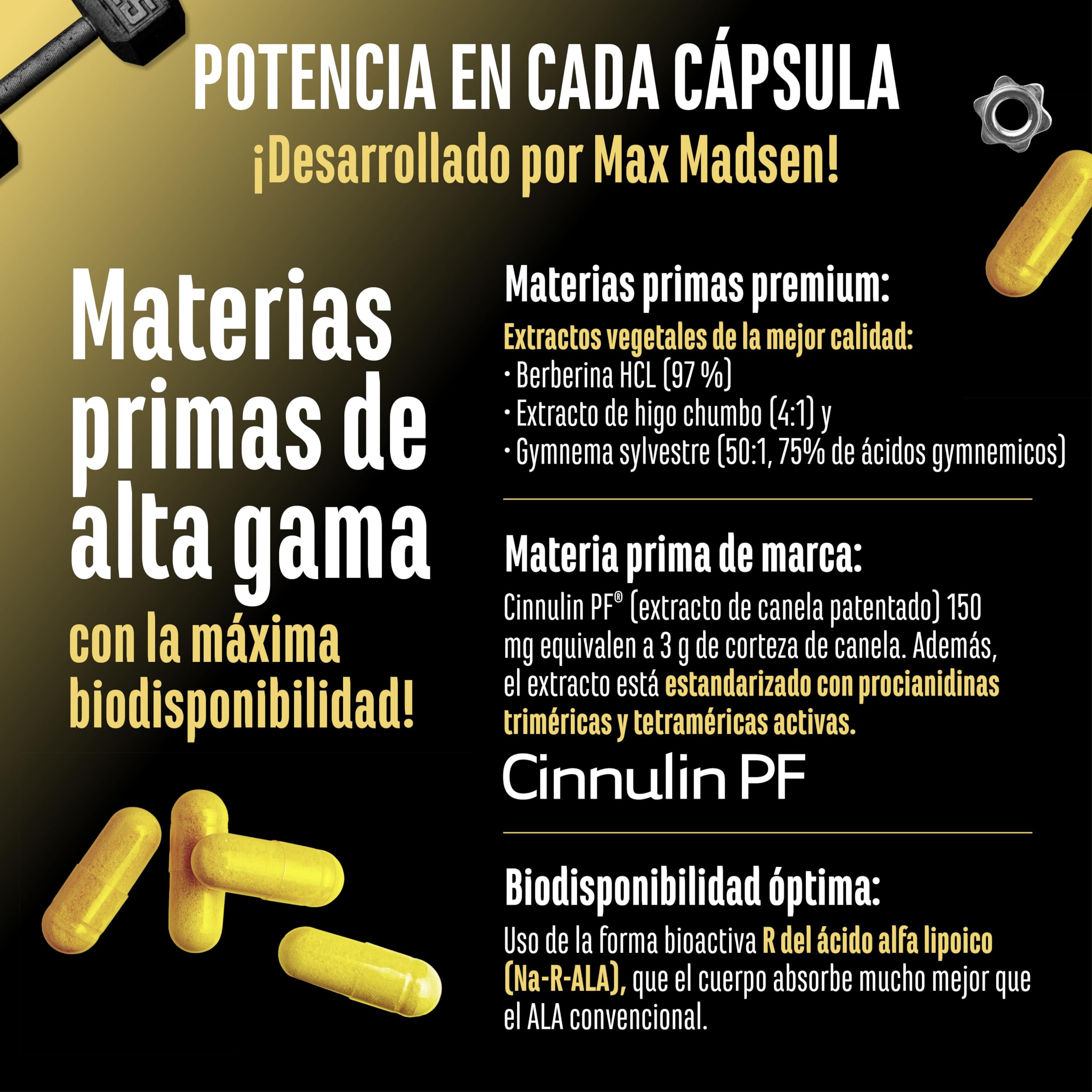 Invictus G.D.A – Complejo GDA de alta dosis con berberina, Cinnulin PF® (extracto de corteza de canela) y ácido R-alfa-lipoico bioactivo – 120 cápsulas veganas