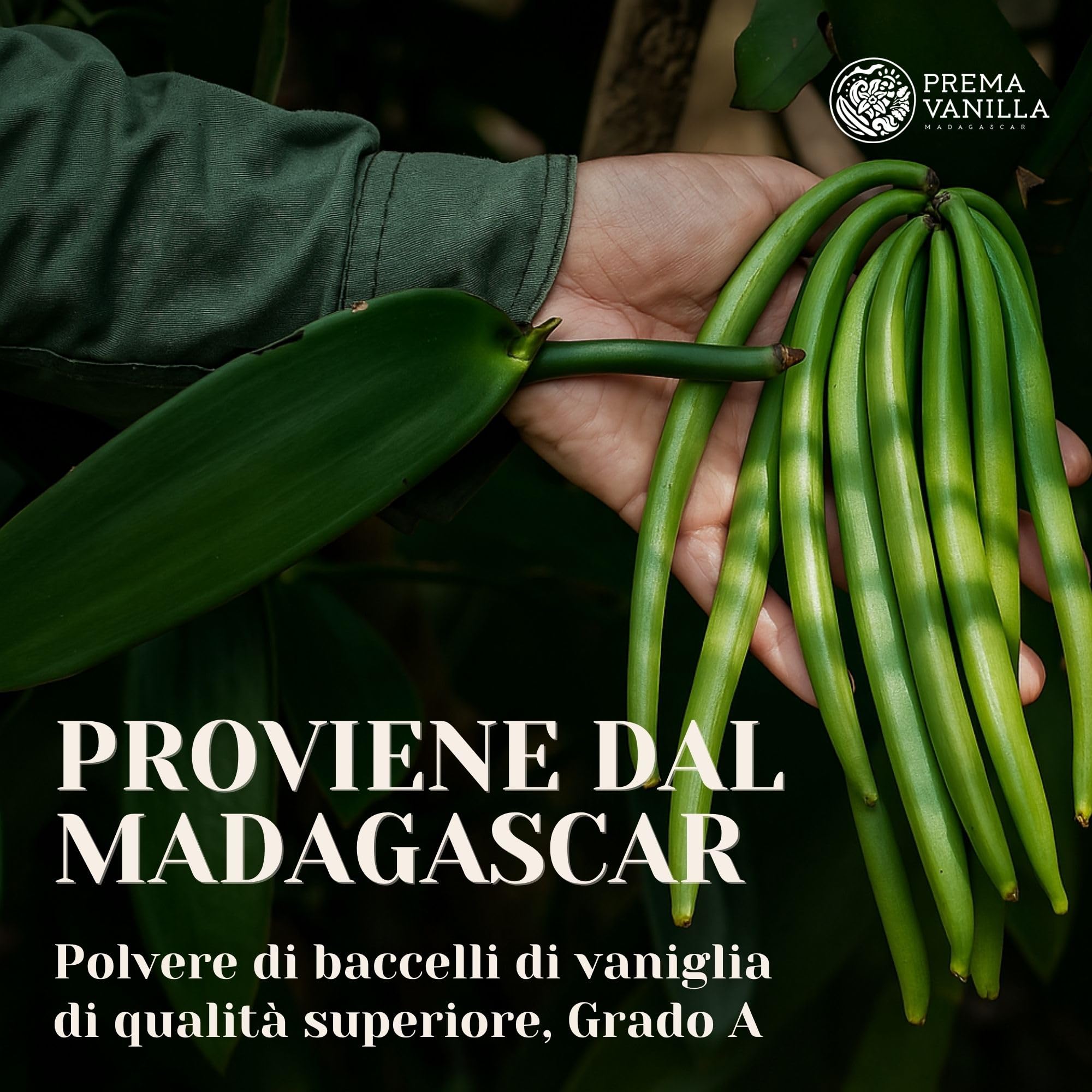 PREMA VANILLA Polvere di Vaniglia 14g Bourbon Premium – Vaniglia in Polvere 100% Naturale e Biologica – Realizzata da Bacche di Vaniglia del Madagascar – Qualità Gourmet – Aroma Puro e Intenso