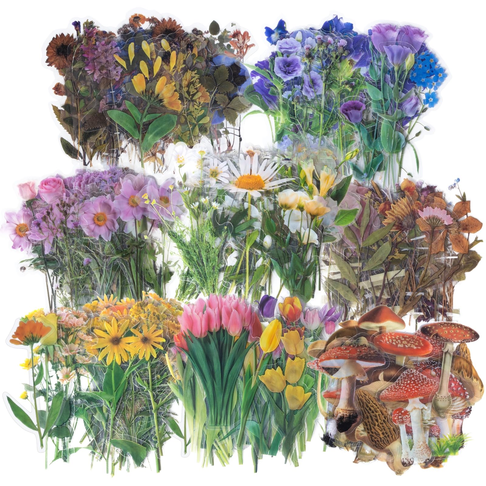 Imeepa Scrapbooking Stickers 320Pcs Vintage Natural Flower Stickers, Transparent Floral Plant Decorative Decals for Scrapbook Laptops DIY Craft Daily