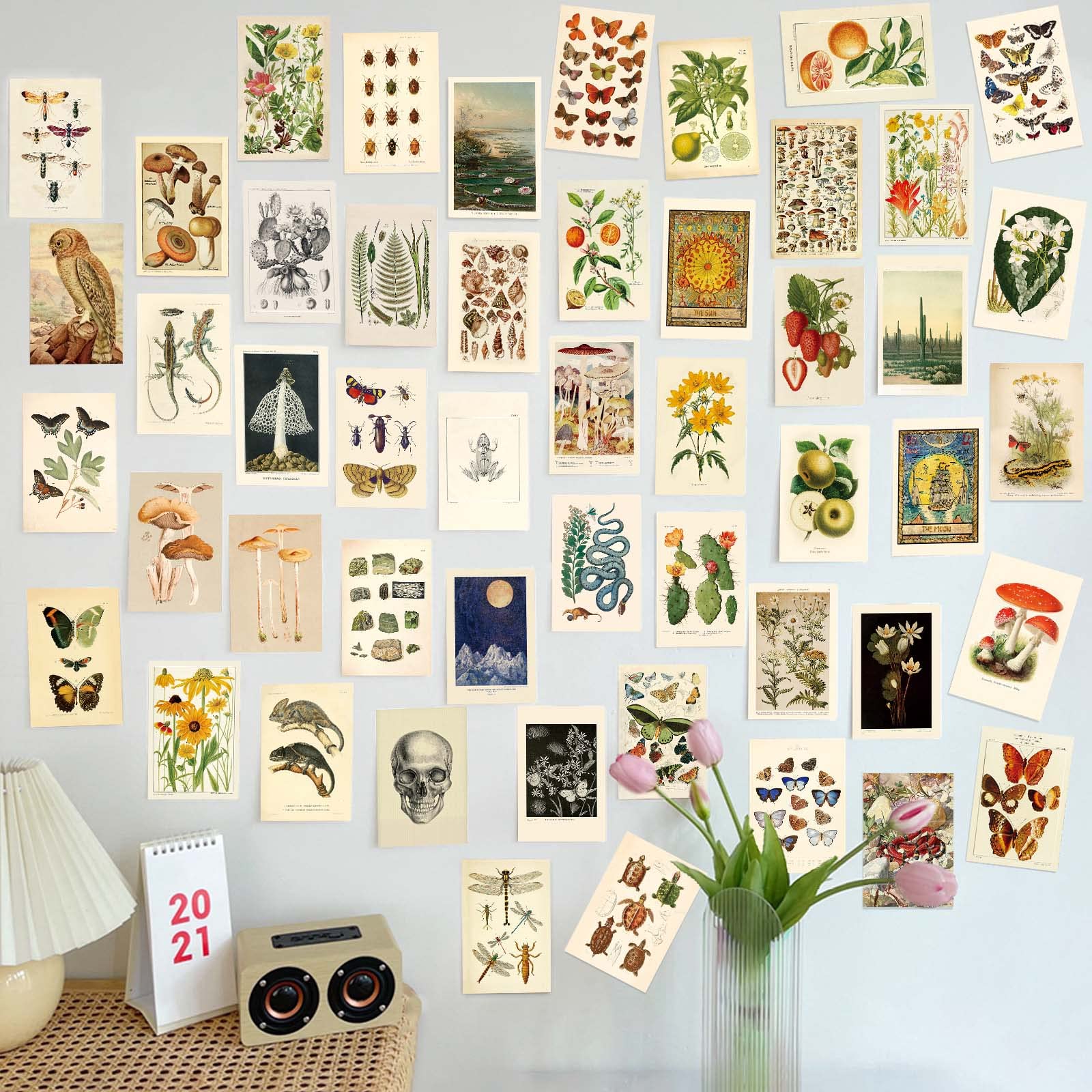 LA MAISON COZY 50PCS Wall Collage Kit, Room Posters Art Print, 4x6'' Vintage Wall Decor Gift for Teen Girls' Dorm Room (Creature)