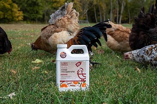 Miniatura 7 de Coop Recuperate Orange Spice – Edición limitada – Refresco de gallinero que contiene aceites esenciales orgánicos de naranja, canela y clavo (jarra