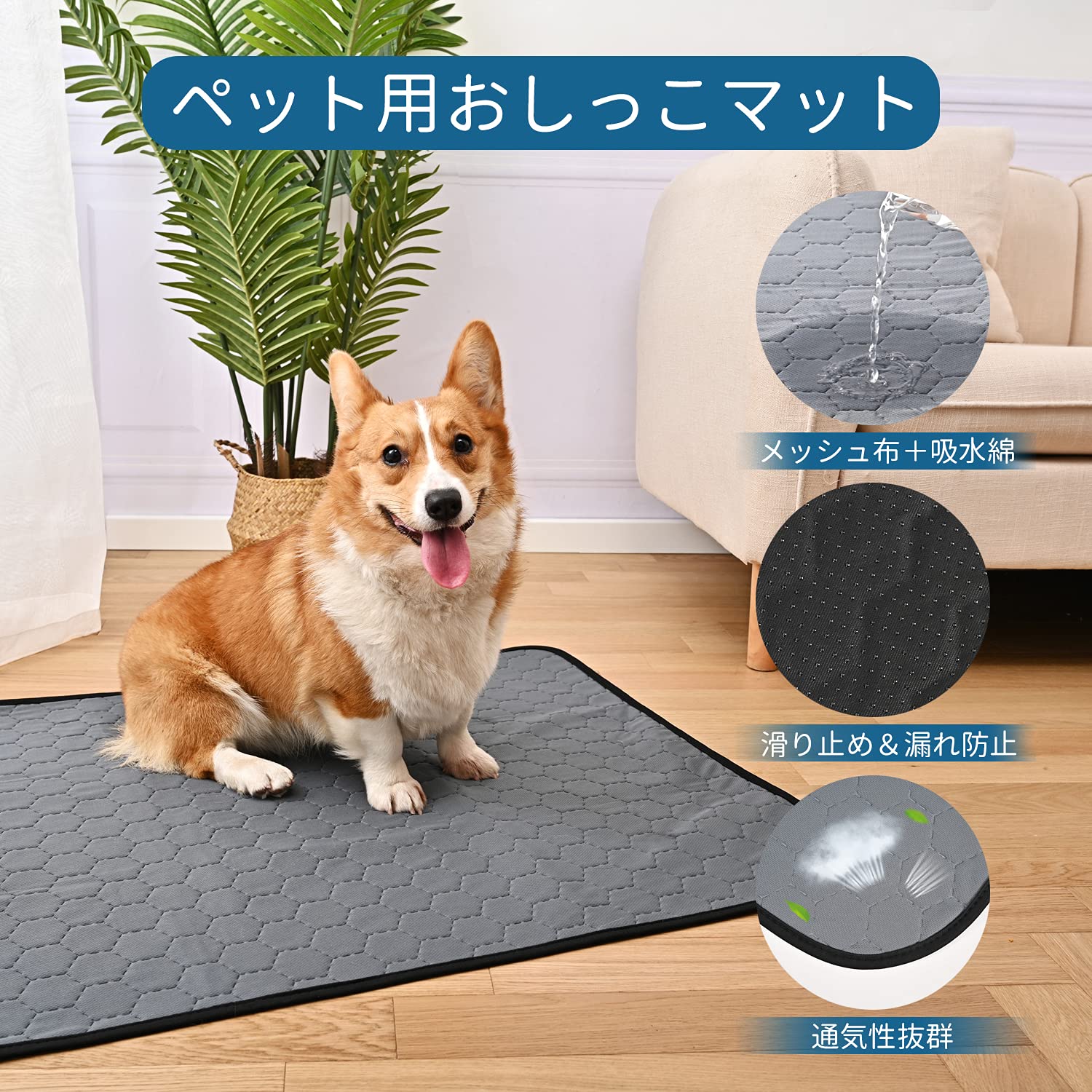 Amazon.co.jp: STVICTORY ペットシーツ 洗える 犬 猫 ペット用