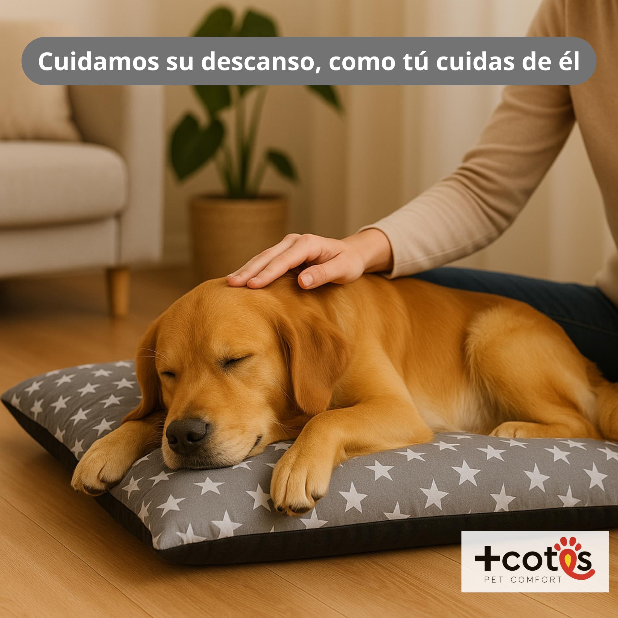 Cama Cachorro Perro Pequeño Espuma Acolchada Colchoneta Tacto Suave Tejido Transpirable Base Antideslizante Funda de algodón loneta Ligera cómoda Lavable Fácil de Transportar 45X65X5 Estrellas +Cotes