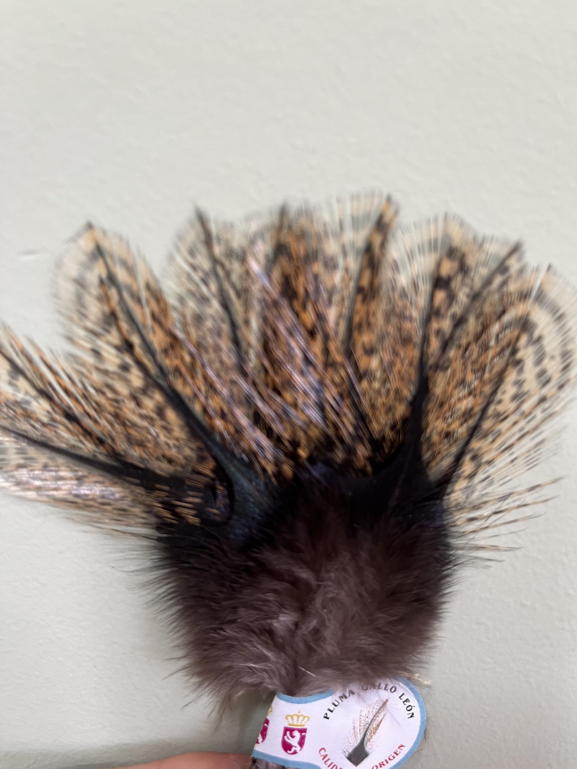 Genérico Pluma Gallo Leon/Lion Rooster Feather/Pluma Gallo Leon/Lion Rooster Feather Pluma DE Gallo Leon para EL Atado DE Moscas,NINFAS Y PERDIGONES para LA Pesca A Mosca