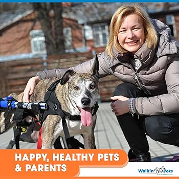 値下中 Walkin' Wheels ウォーキングホイールズSTD 犬の車椅子 値下中 Walkin' Wheels ウォーキングホイールズSTD 犬の車椅子