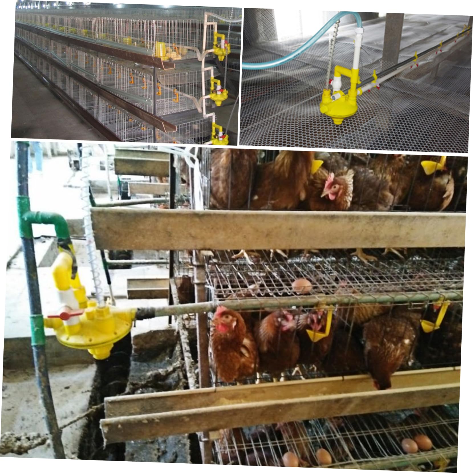 Valvola Regolatrice Pressione per Beverino Galline Plastico Giallo | Beverino Galline e Drinking Machine, Design Leggero, Prevenzione Perdite, Accessorio per Impianto Acqua