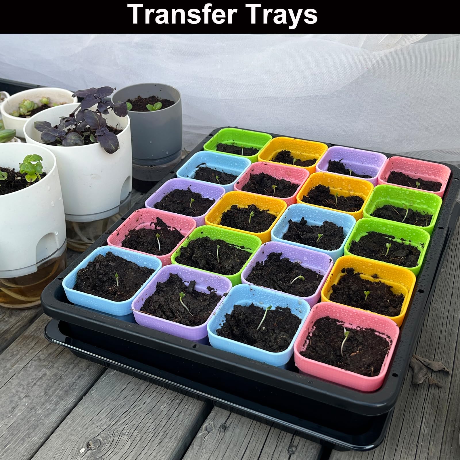 BeGrit 5 Stück Keimschalen für Sprossen Pflanzschale schwarz Anzuchtkasten für Pflanzen (37 x 30 x 7.5cm) Mit Wasserwanne für Mircogreen Setzlinge Sukkulenten Gewächshaus