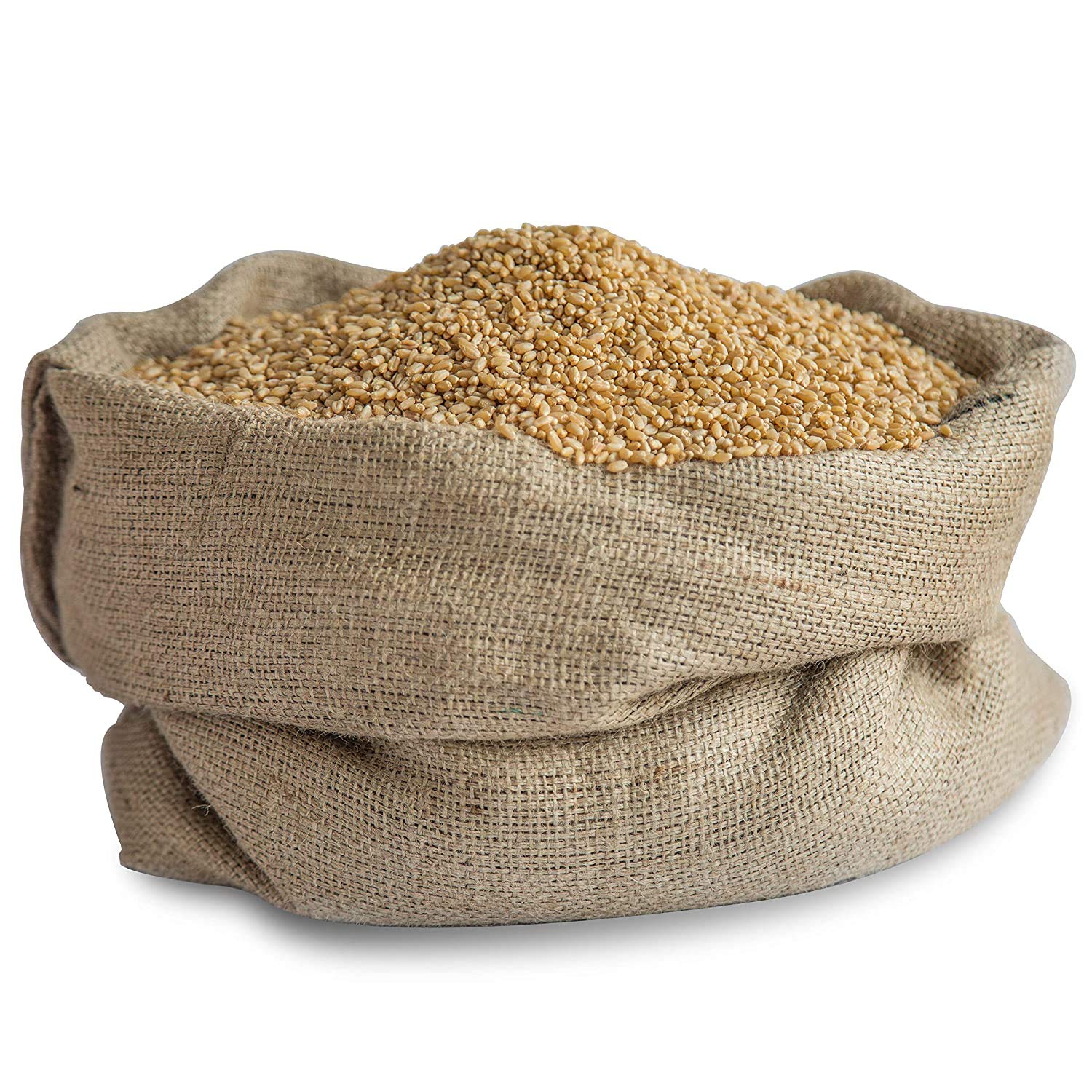VISION CRAFTED PUNJAB Chemical Free Rare Desi Sharbati Wheat Seeds Variety For Growing Wheat (4 KG, SHARBATI WHEAT) (B08M9JPSLK) Amazon Price History, Amazon Price Tracker