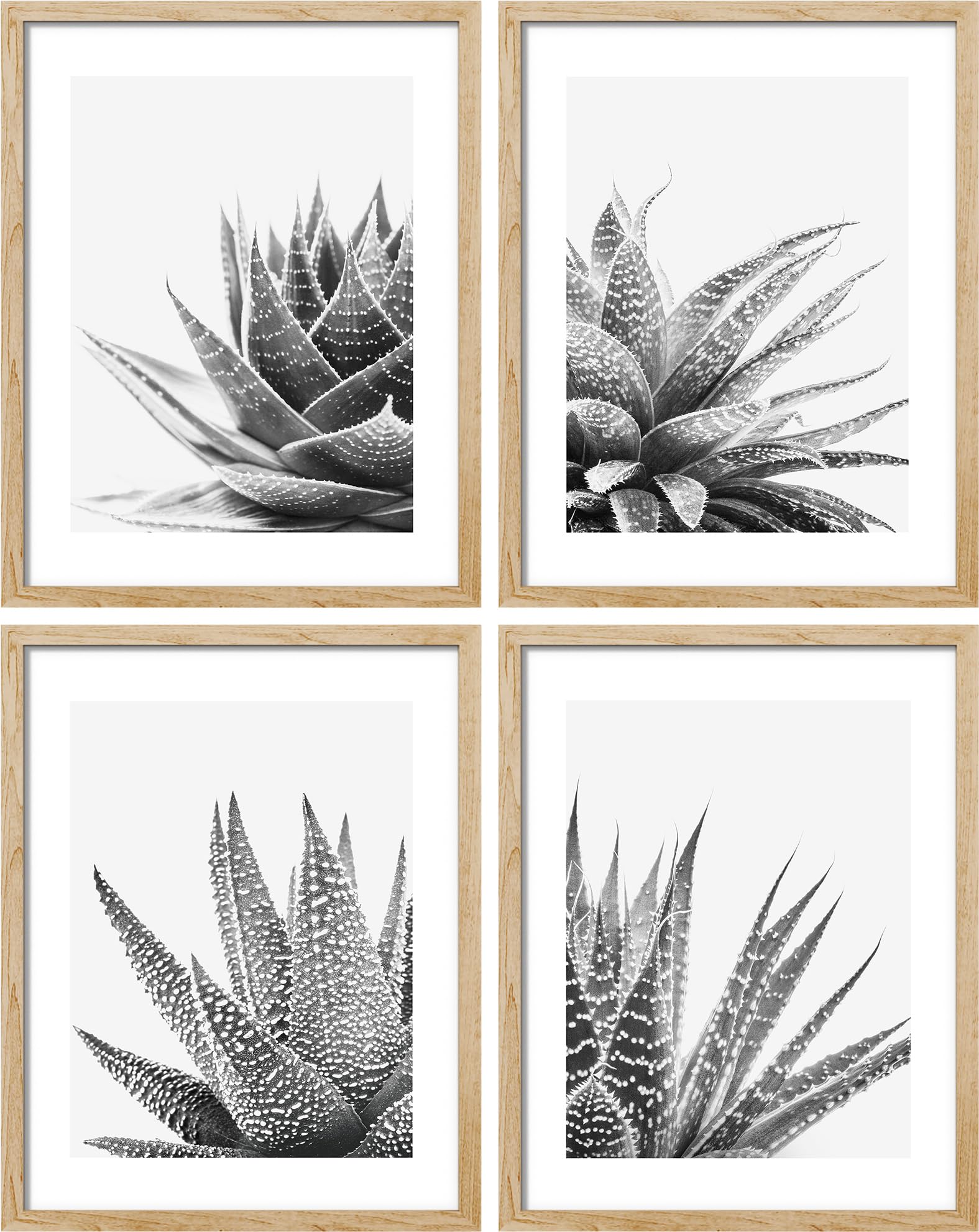 SIGNWIN Snake Plant Wall Art Set