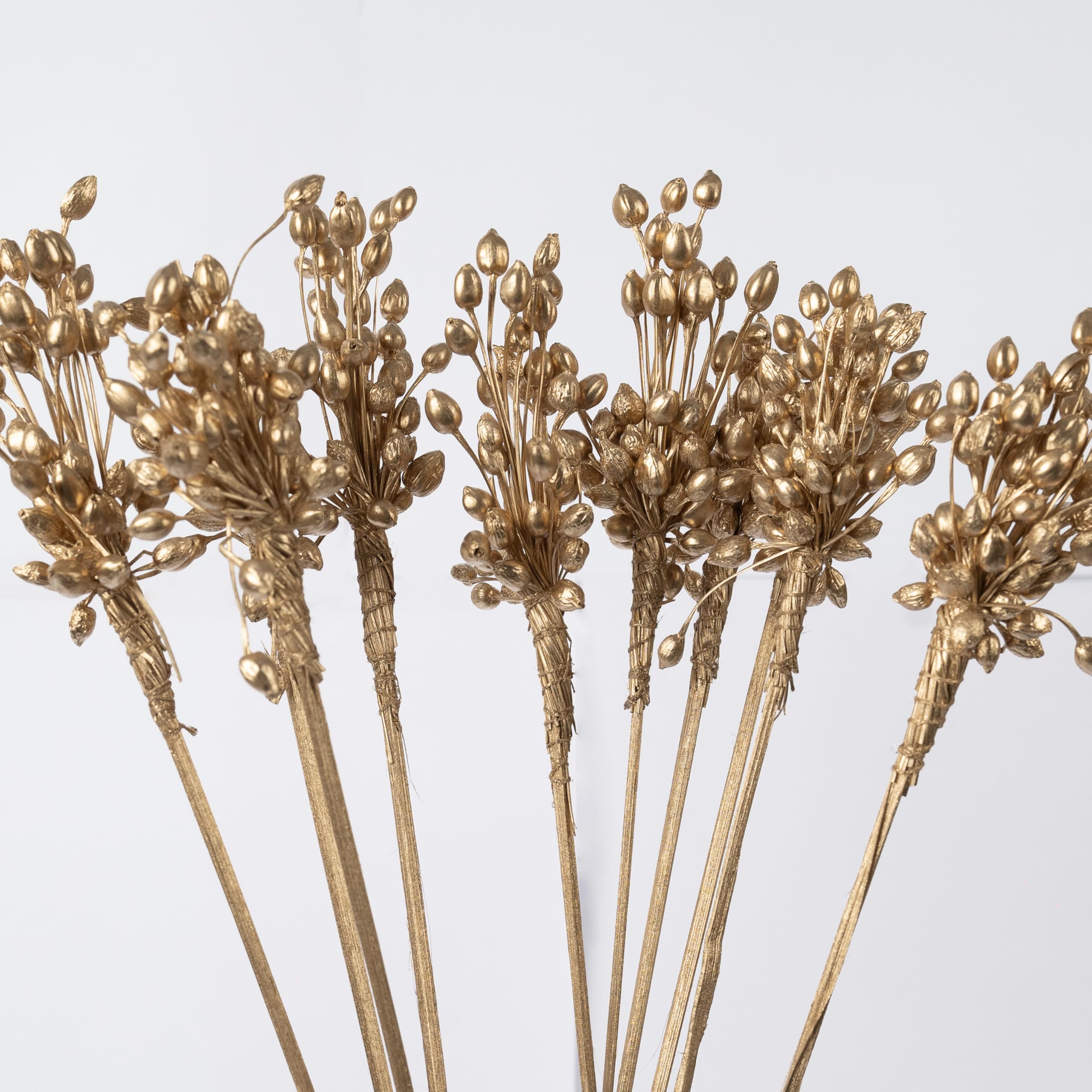 IDIKA Living Dried Moti Bunch |Set of 5 Sticks| Sturdy for Rustic & Boho Decor | Perfect for Vase Fillers & DIY Crafts | Unique Accent for Floral Arrangements & Table Displays(Natural)