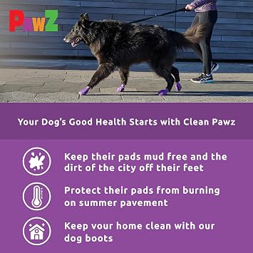 Large Pawz Durable All Weather Dog Boots (12 boots)