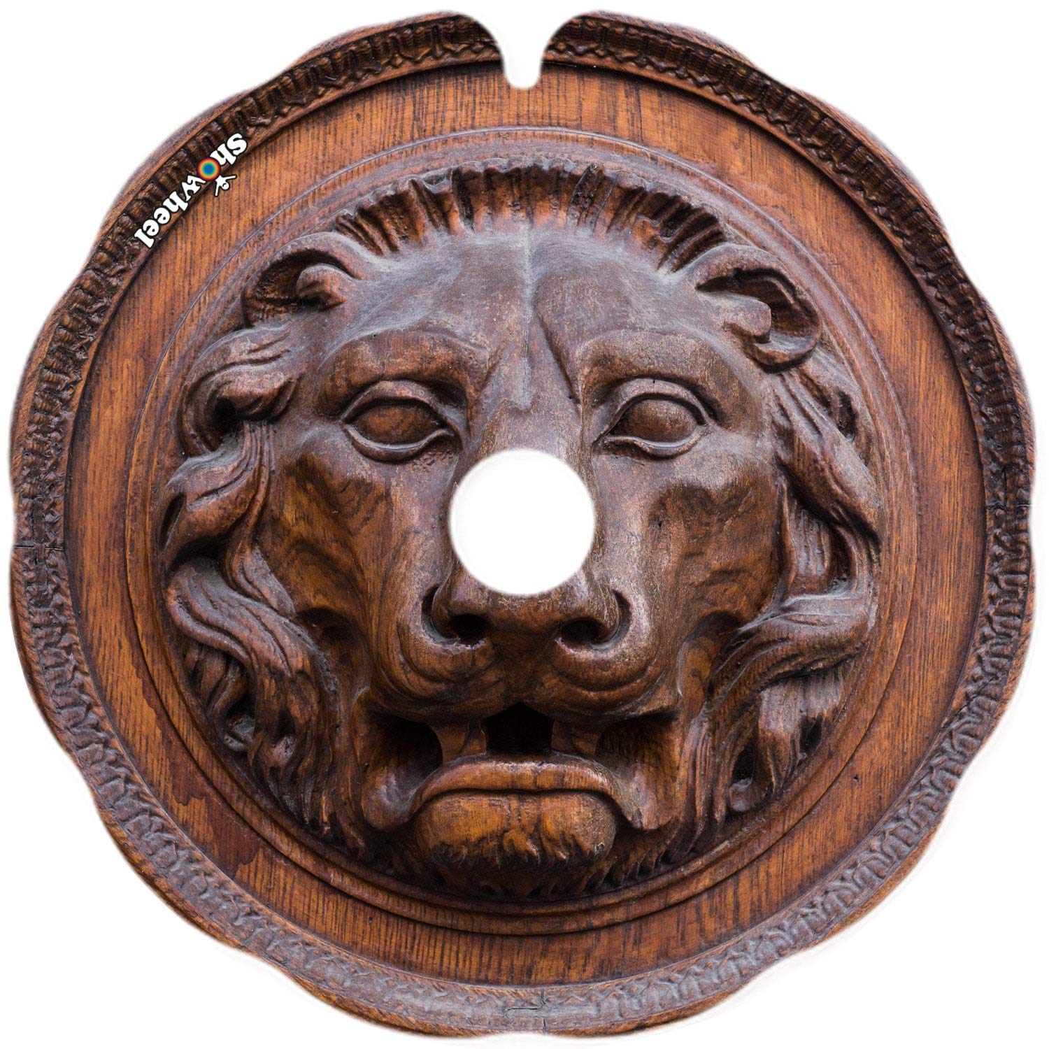 Cubre Radios Silla de Ruedas (Par) para Aro Impulsor 49,51 a 50,50 cm de Diámetro Exterior con Fijaciones Planas - Lion de bois