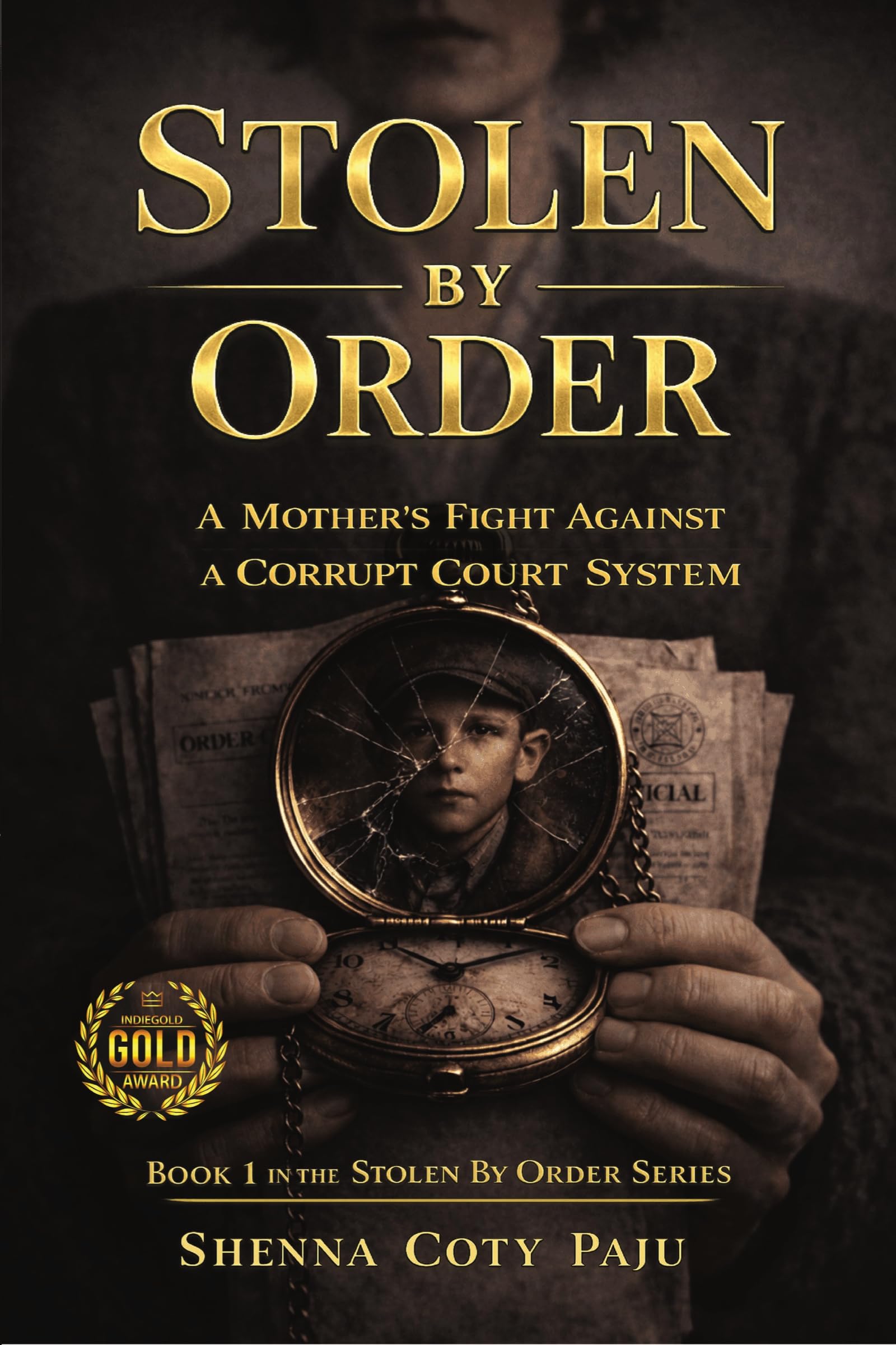 Stolen By Order: A Mother's Fight Against a Corrupt Court System