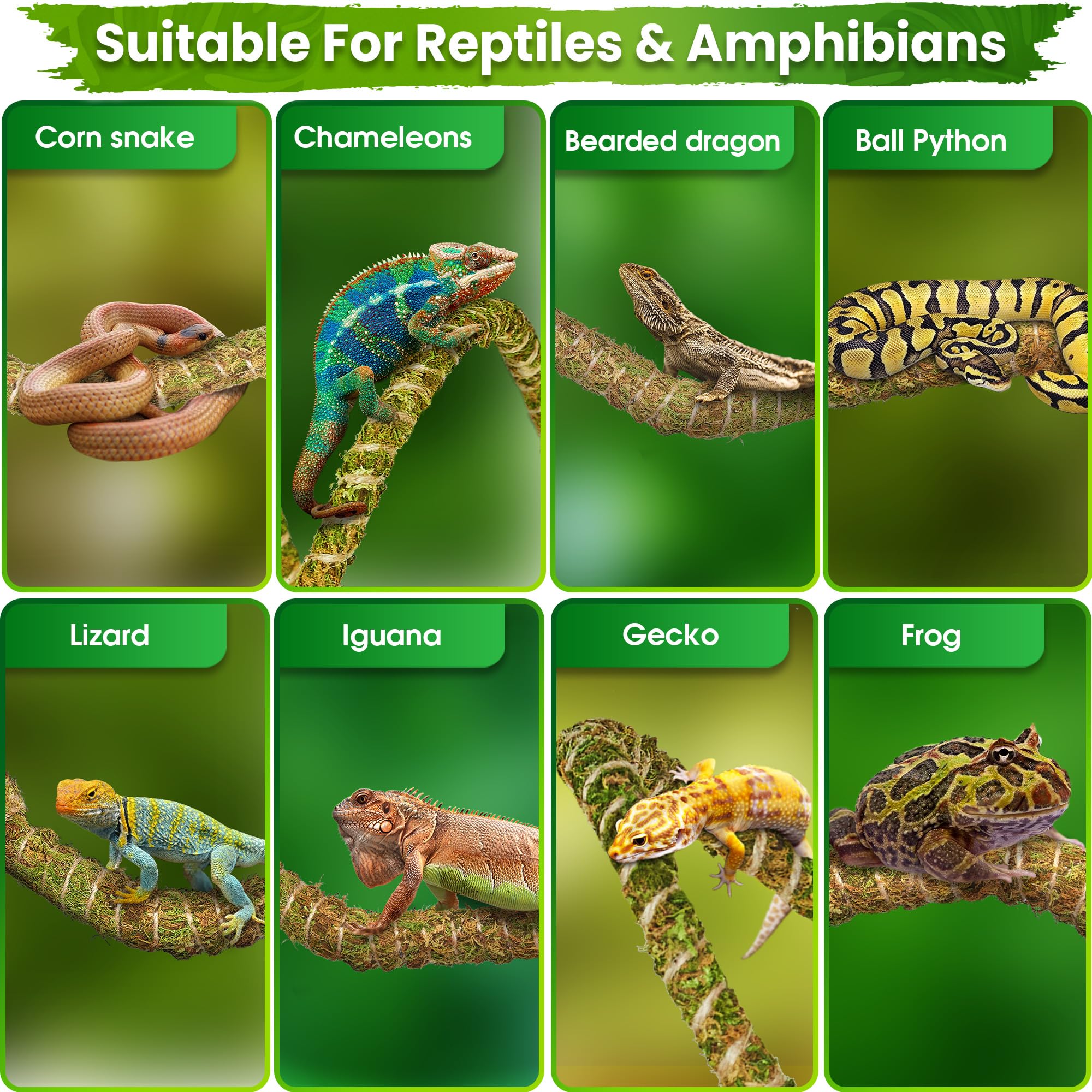 Duspro Vides de reptiles de 10 pies para trepar ramas flexibles para reptiles, cuerda de musgo natural, decoración de selva para dragón barbudo, accesorios de tanque de camaleón, terrario de
