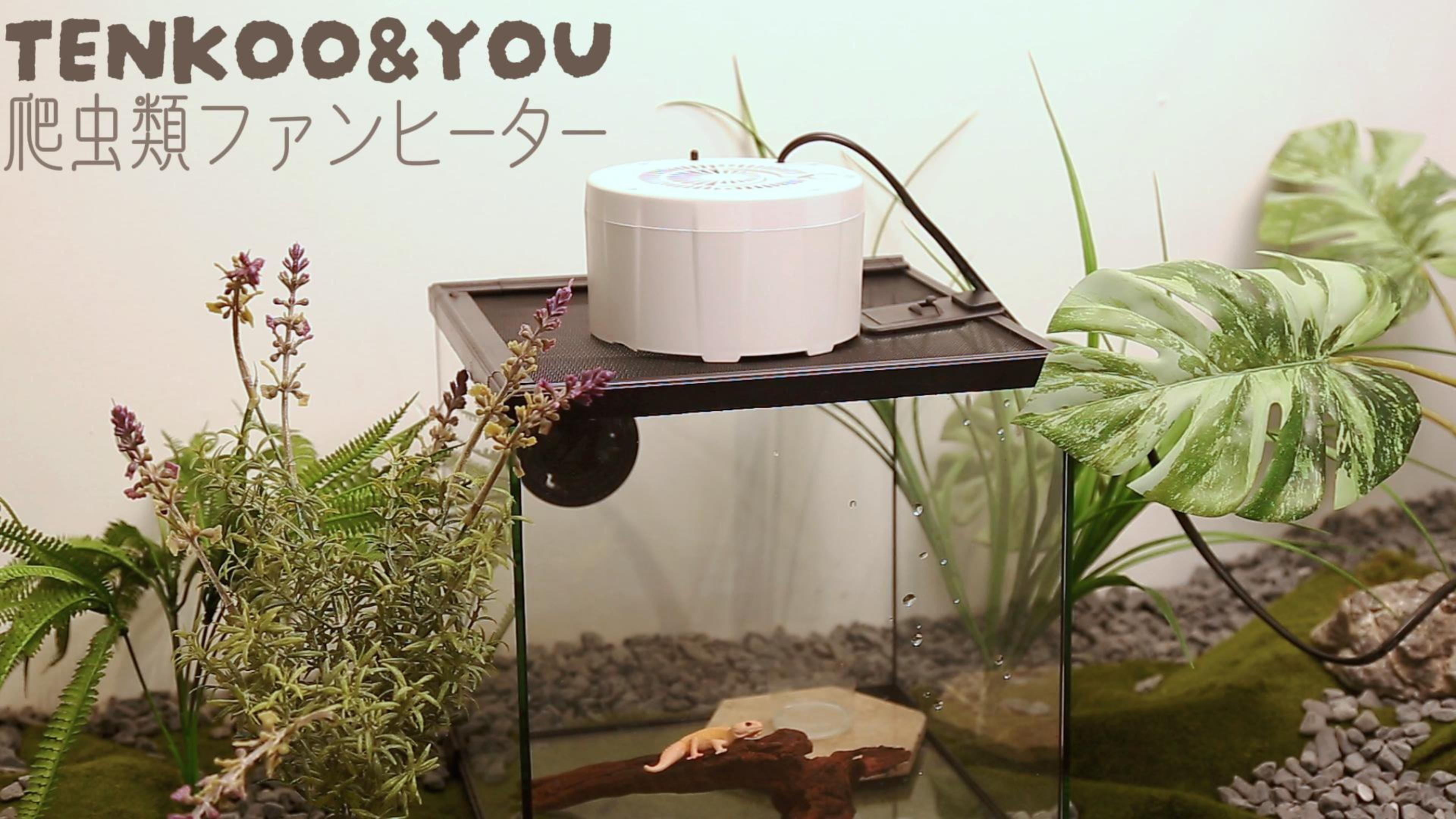 Amazon | 【小型動物専用・2025年冬革新】TENKOO&YOU 爬虫類 ヒーター