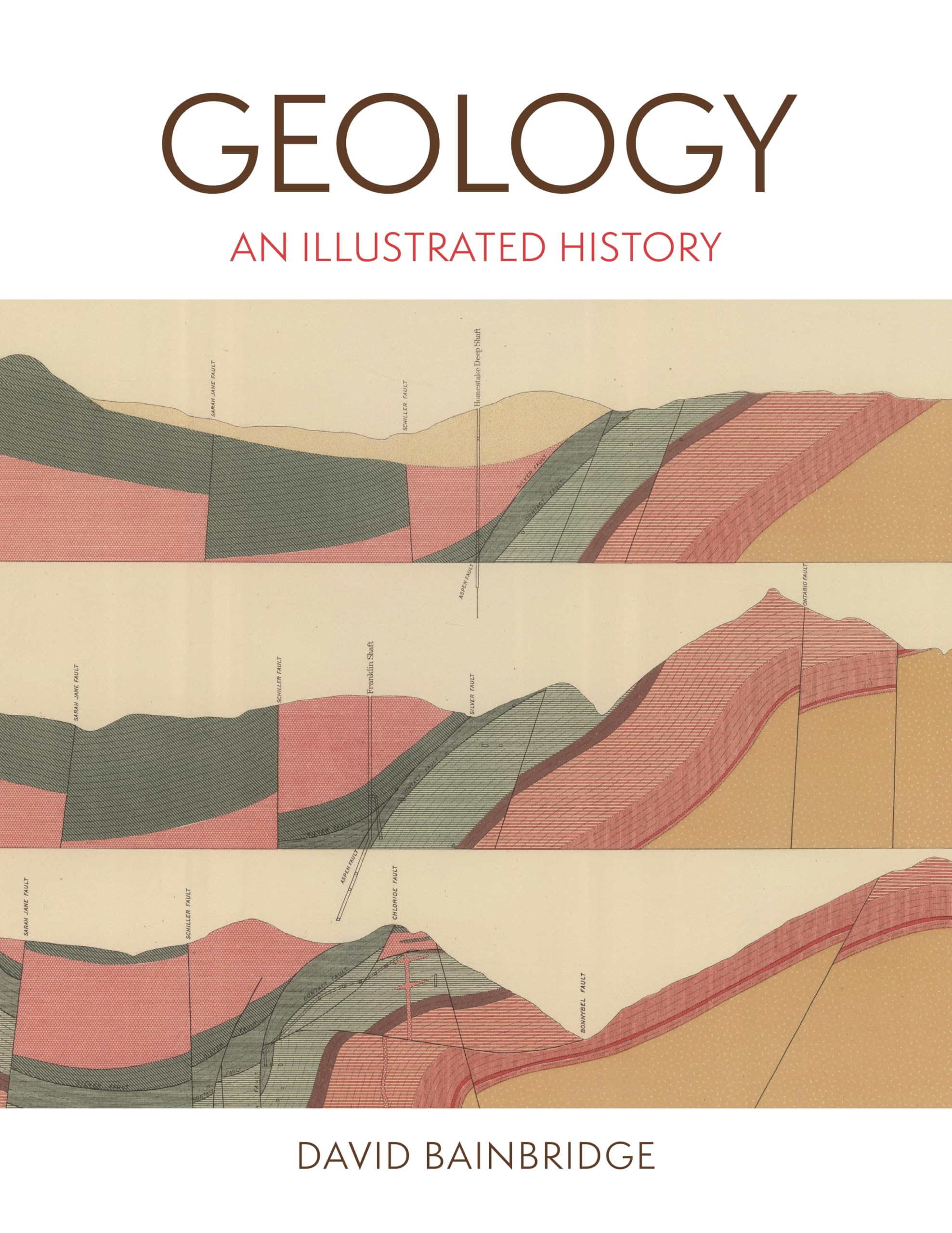Geology by David Bainbridge - 9780691269832