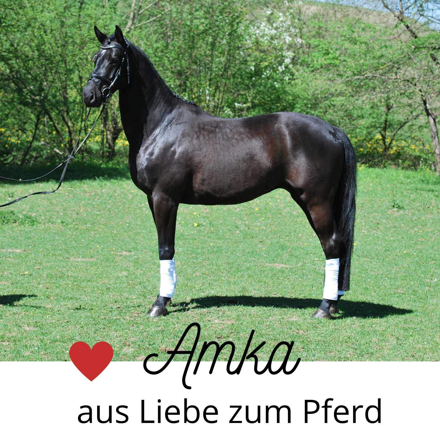 Spécialiste Des Barres D'obstacles Pour Toutes Disciplines