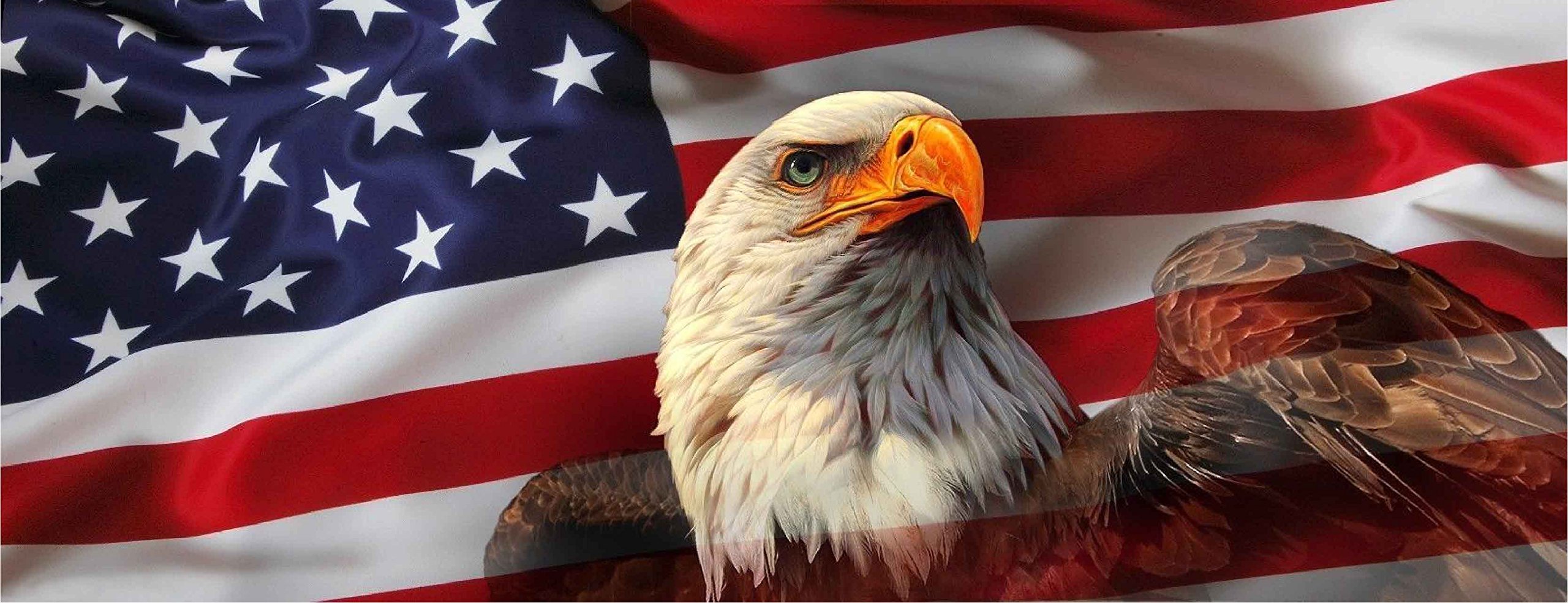 American USA Flag Eagle Pick-UP Truck Back Window Graphic Decal Perforated Vinyl (Small 55" x 15")