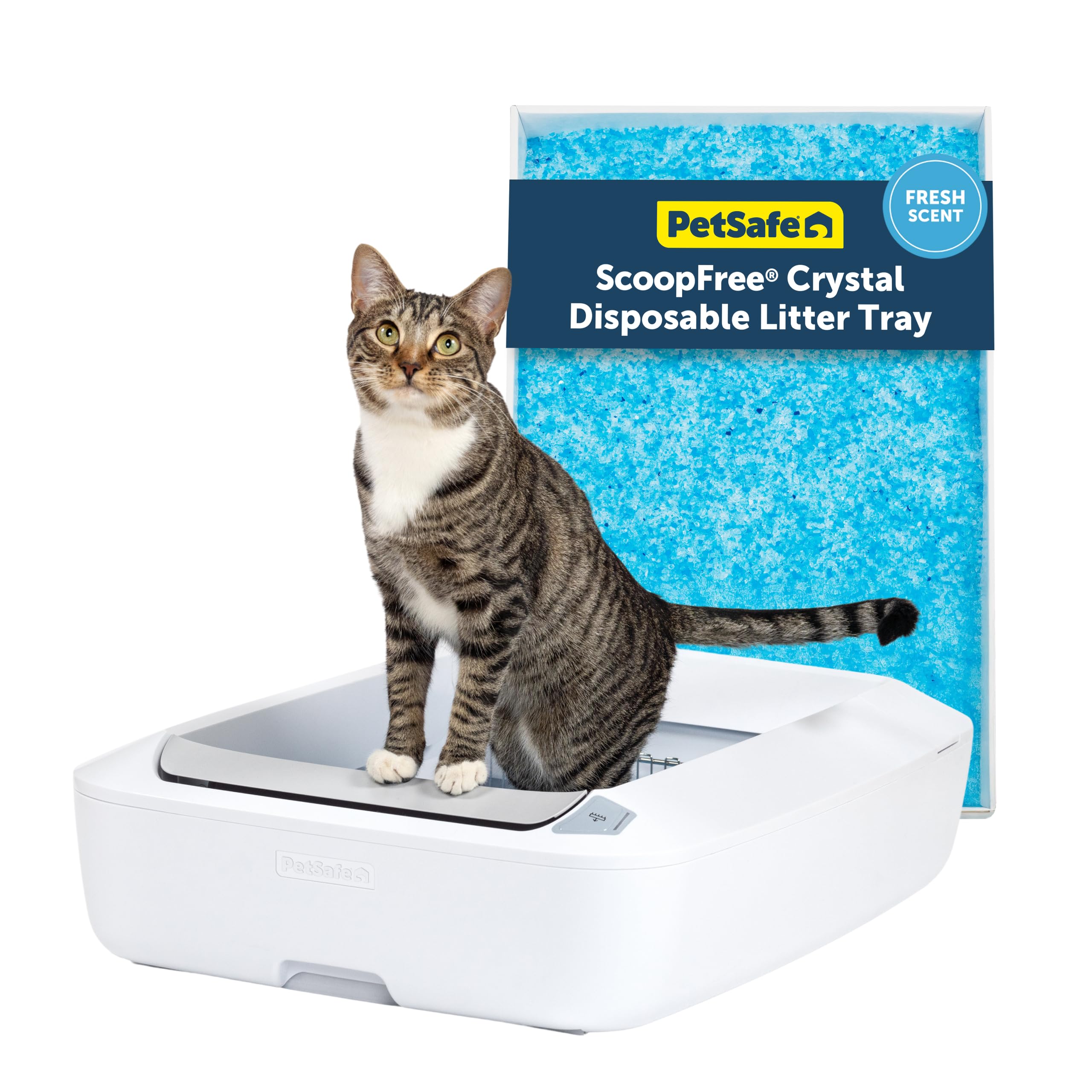 PetSafe ScoopFree Crystal Plus Automatic Self-Cleaning Cat Litter Box System – Not Enclosed – Advanced Odor Control – Includes 1 Disposable Crystal Litter Tray – White (PAL00-18016)