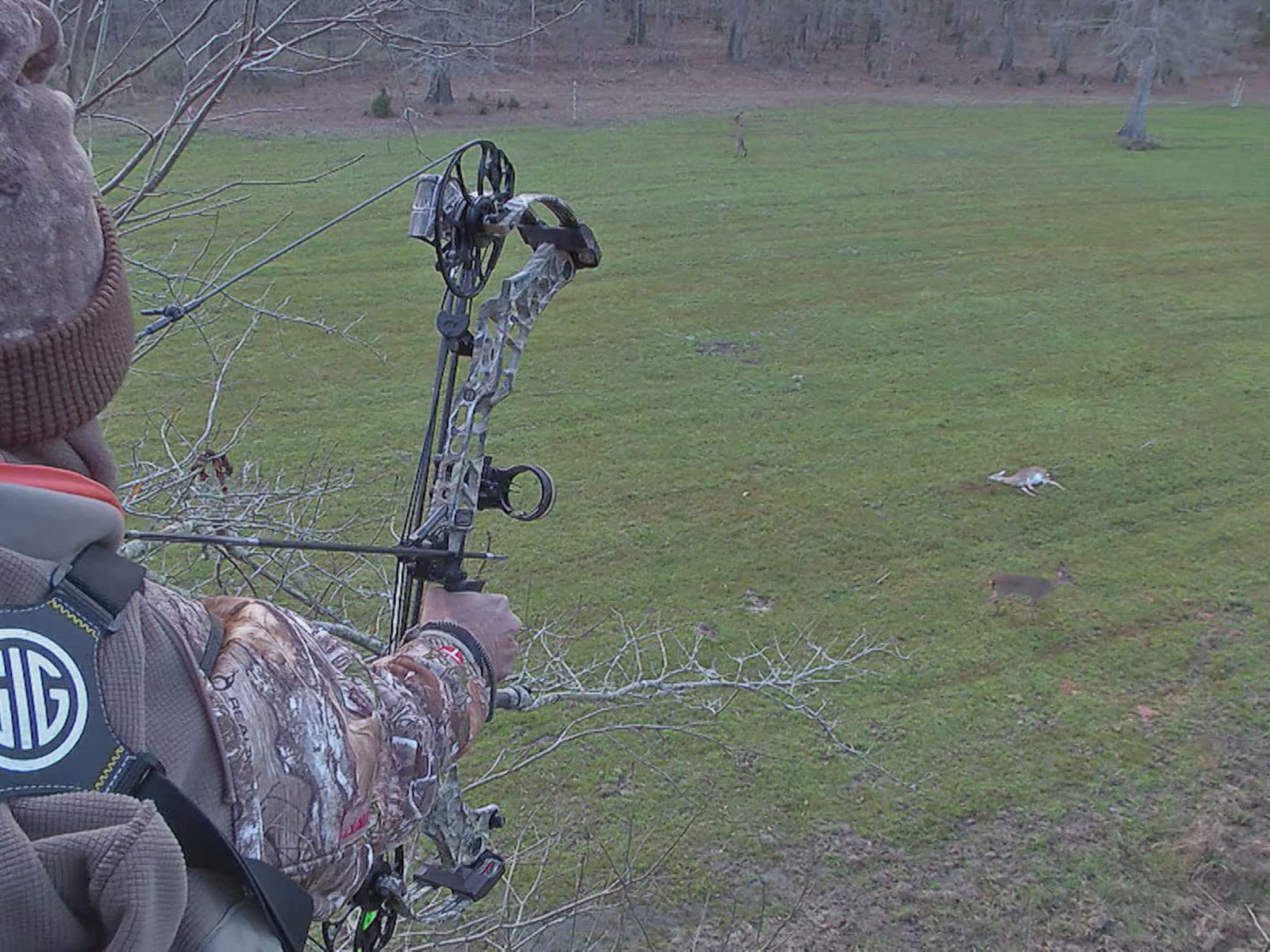 Watch The Jackie Bushman Show - Season 17 | Prime Video