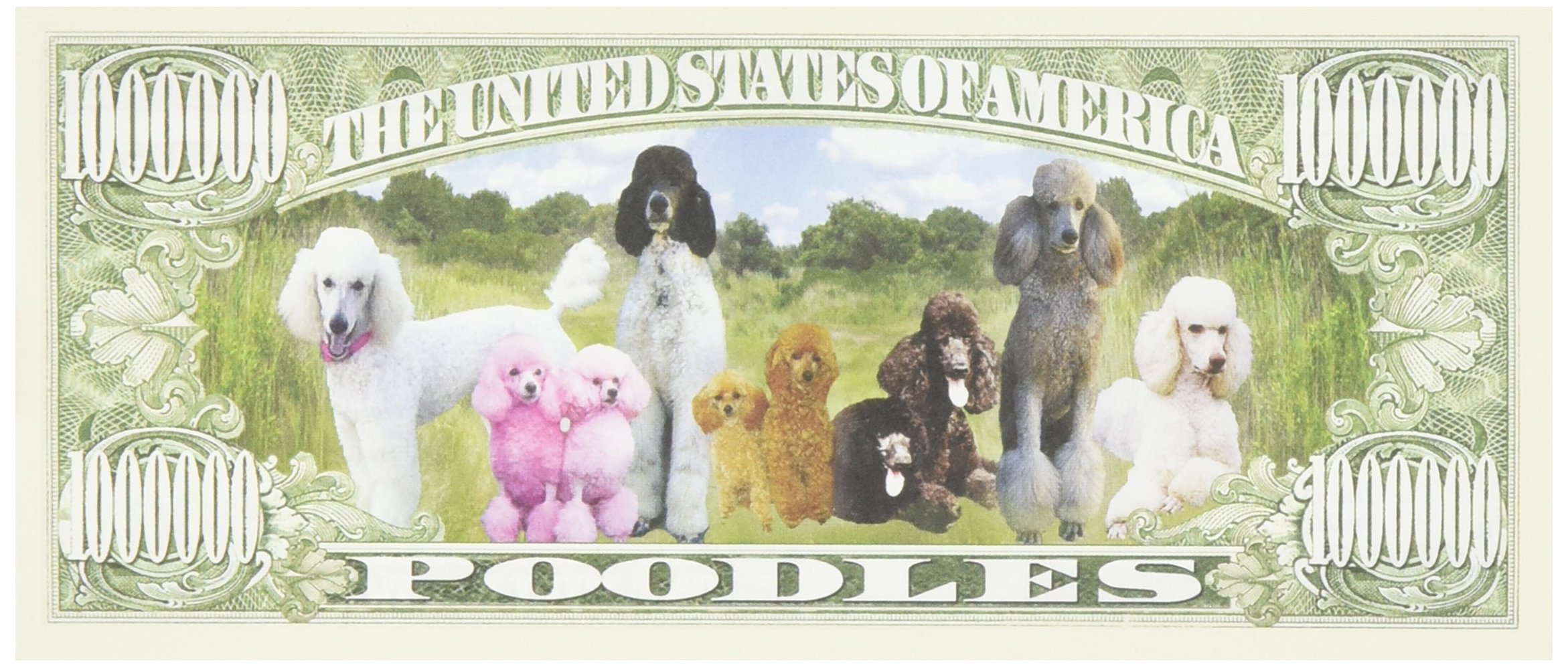 Poodle Million Dollar Bill Set - Novelty Funny Money, 100 Bills