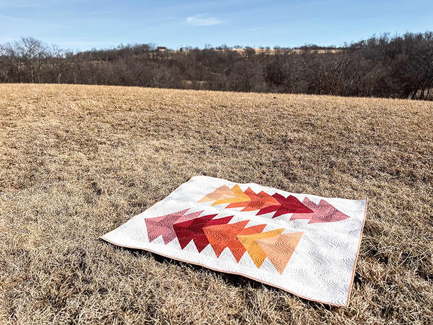 Cozy Quilts for the Modern Home: 16 Seasonal Projects