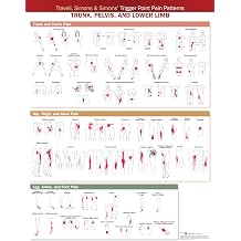 Travell, Simons & Simons Trigger Point Pain Patterns Wall Chart Trunk, Pelvis, and Lower Limb