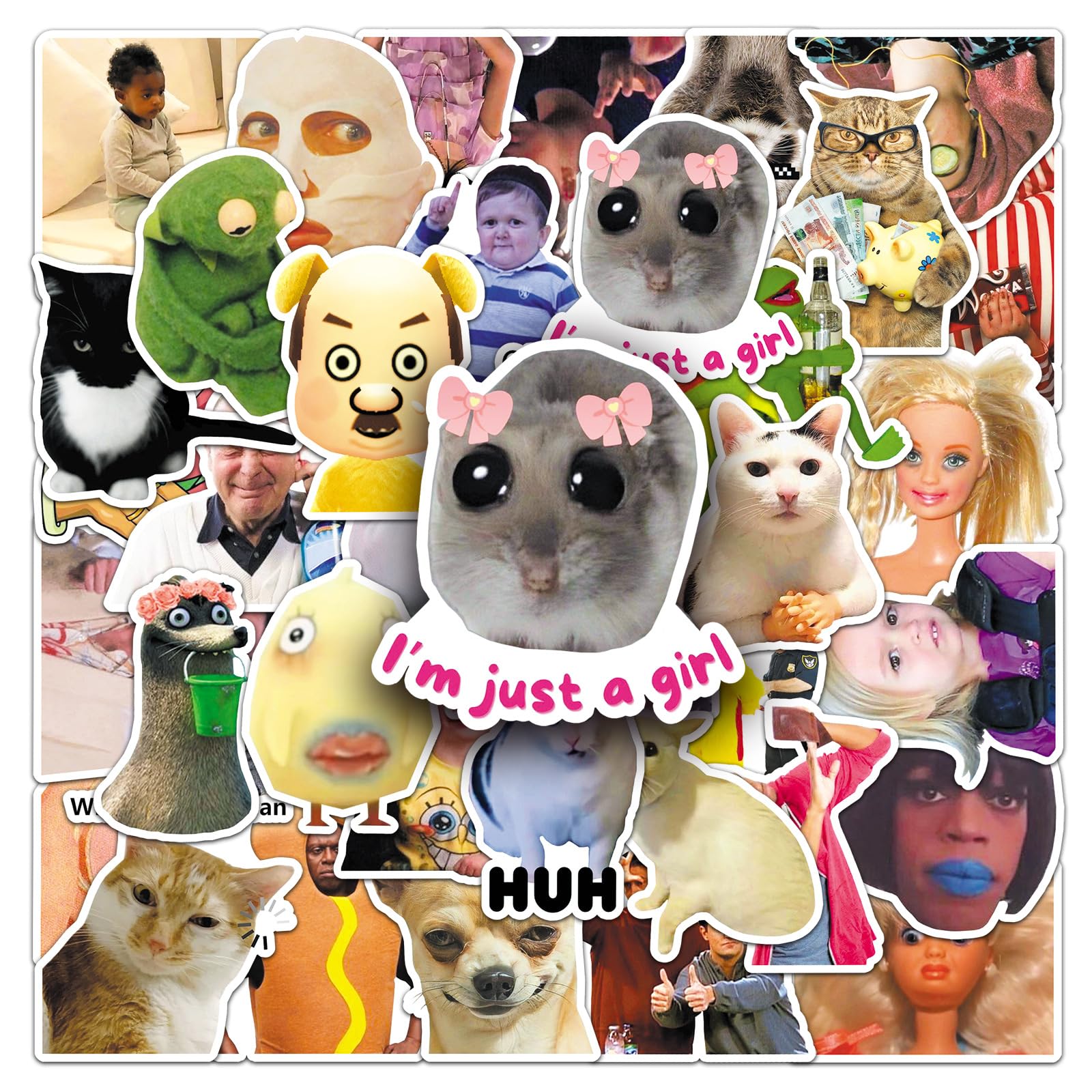 50 PCS Meme Stickers,Meme Sticker Pack Vinyl Skateboard Guitar Door Laptop Luggage Car Bike Water Bottle Waterproof Decals