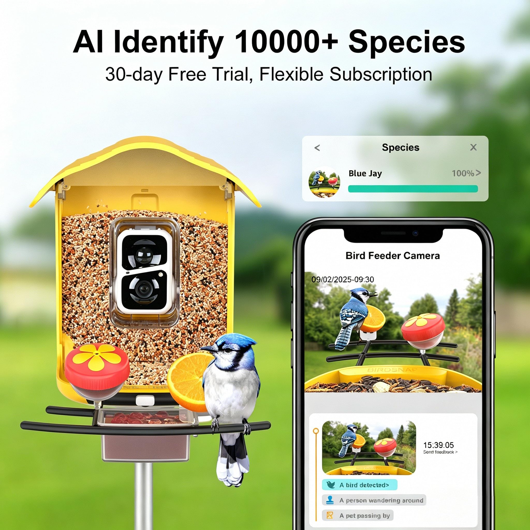 birdsnap® PAV-Comedero para pájaros con cámara, 2K HD con tarjeta de 64 GB, panel solar inteligente de identificación de inteligencia artificial, transmisión en vivo, detección de movimiento