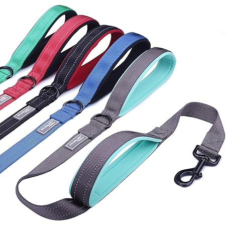 dog leash with multiple handles
