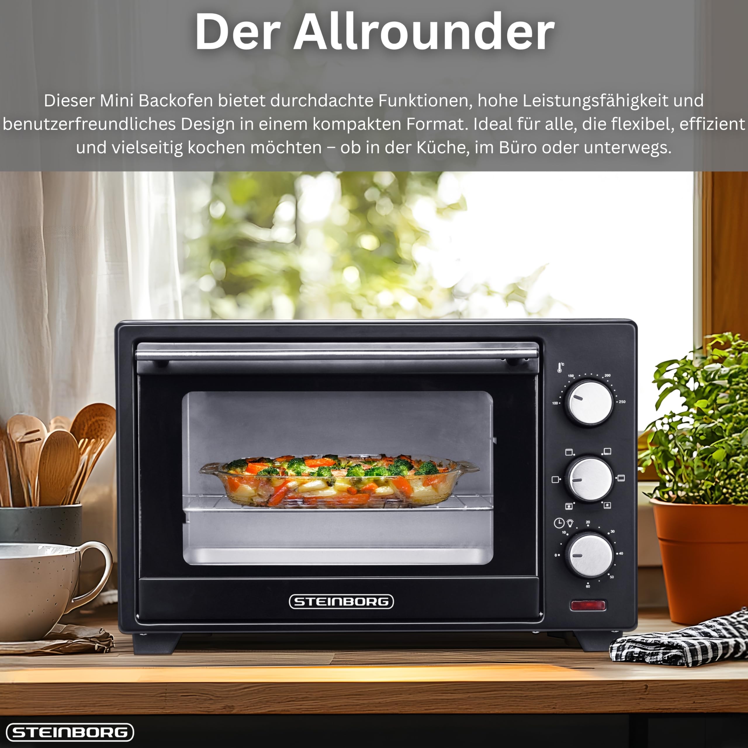 Steinborg® 25 Liter Mini Backofen mit Umluft Pizza Ofen inkl. Backblech und Grillrost Miniofen 60 Min. Timer – 1.600 Watt