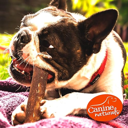 Miniatura 6 de Canine Naturals Masticable de mantequilla de maní  Golosinas para perros 100% sin cuero crudo, hechas con mantequilla de maní real, totalmente