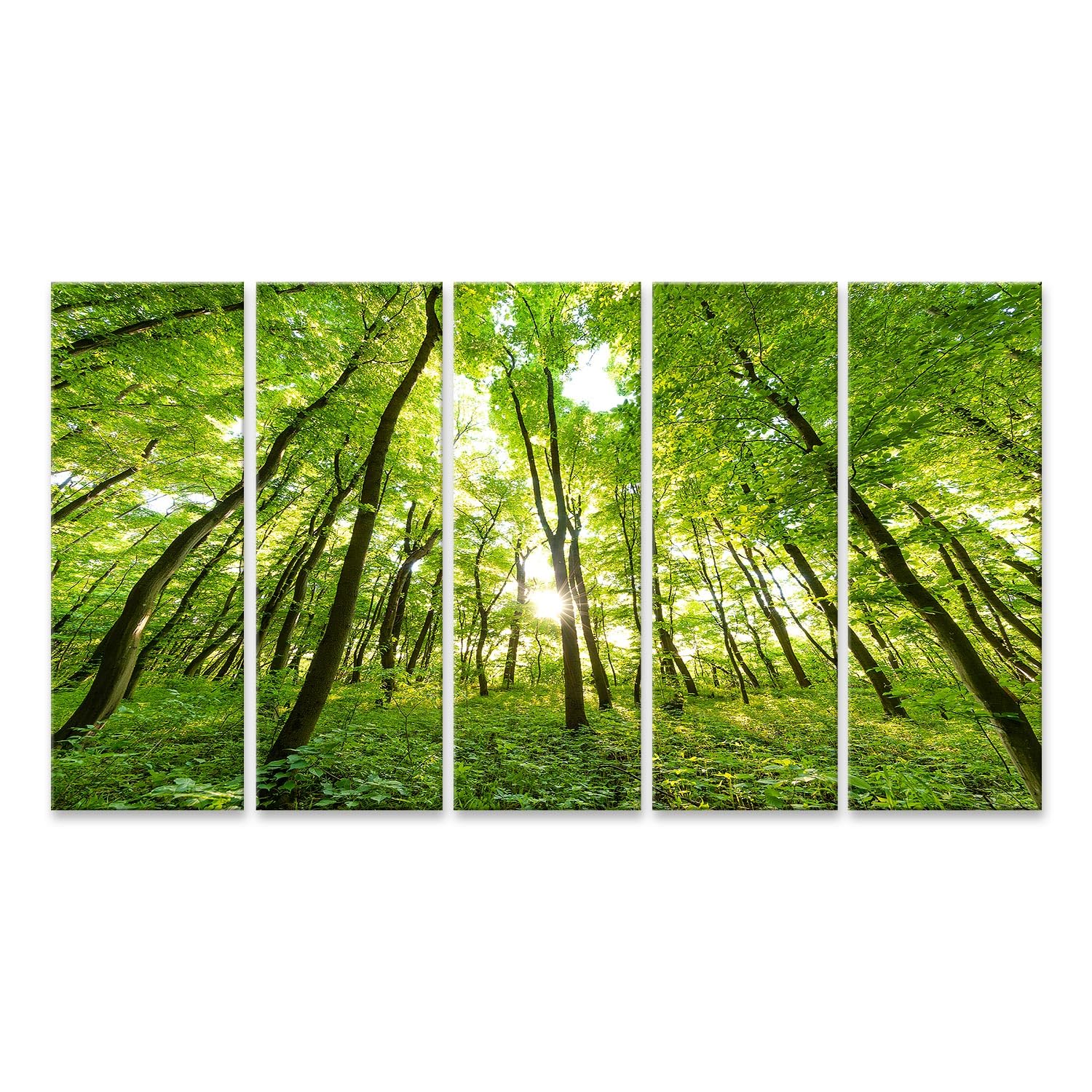 islandburner cuadro sobre lienzo primavera bosque árboles naturaleza verde madera luz del sol imágenes murales carteles