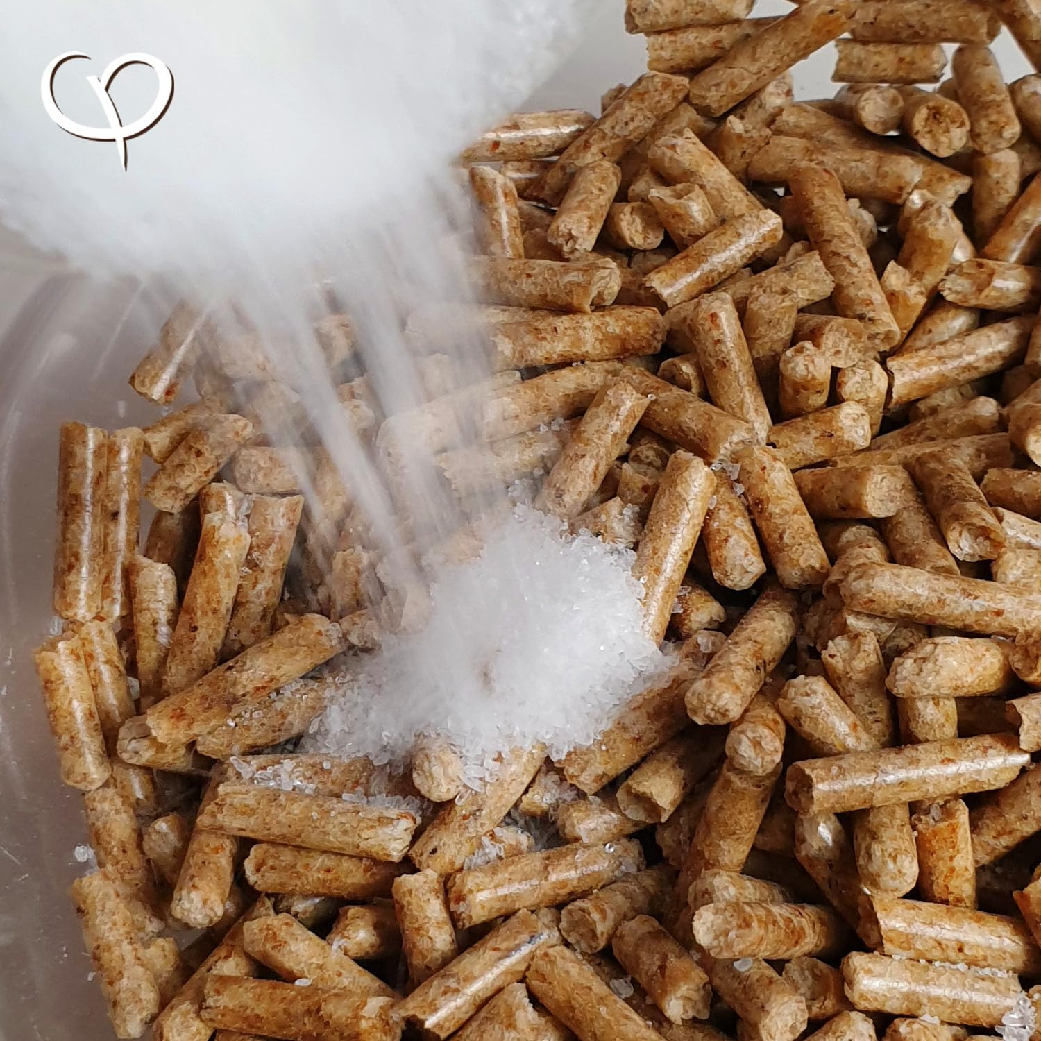GOLDEN PEANUT MSM Glucosamina Condroitina Polvo 1 kg para caballos, combinación ideal, alta biodisponibilidad